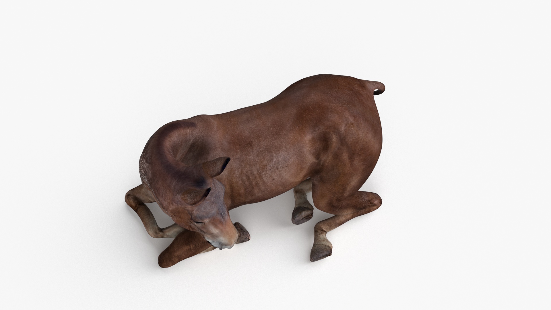 Lying Bay Mule 3D model