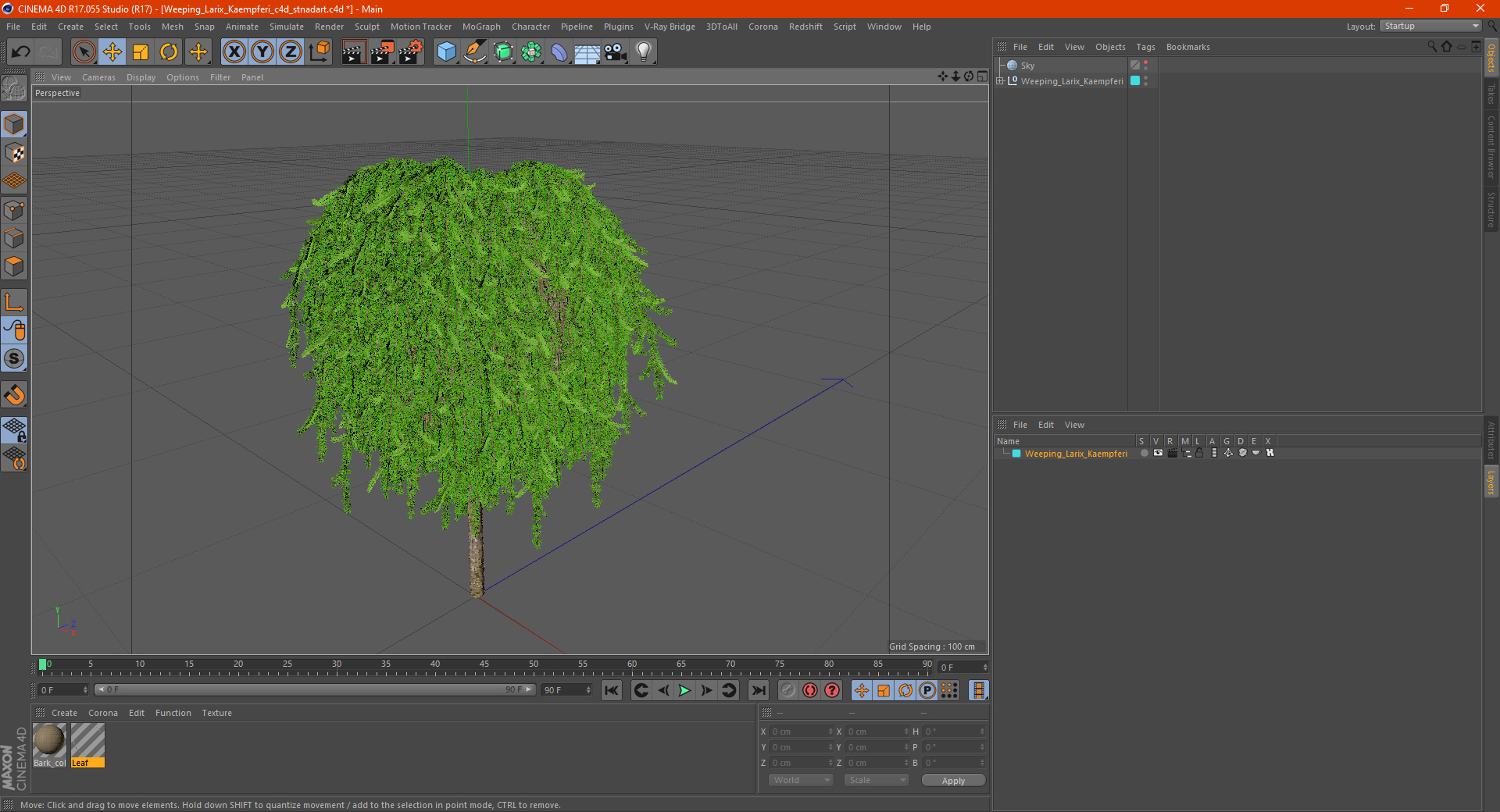 3D Weeping Larix Kaempferi model
