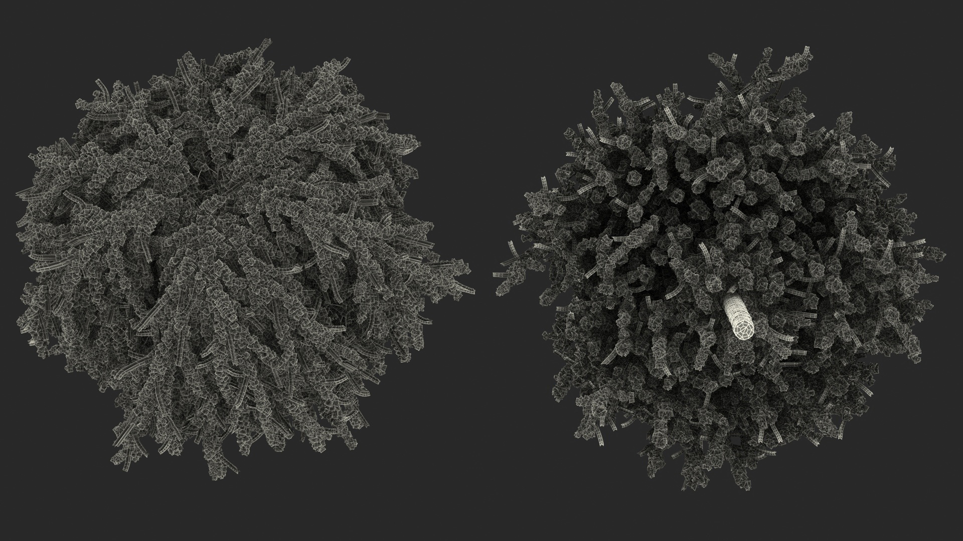3D Weeping Larix Kaempferi model