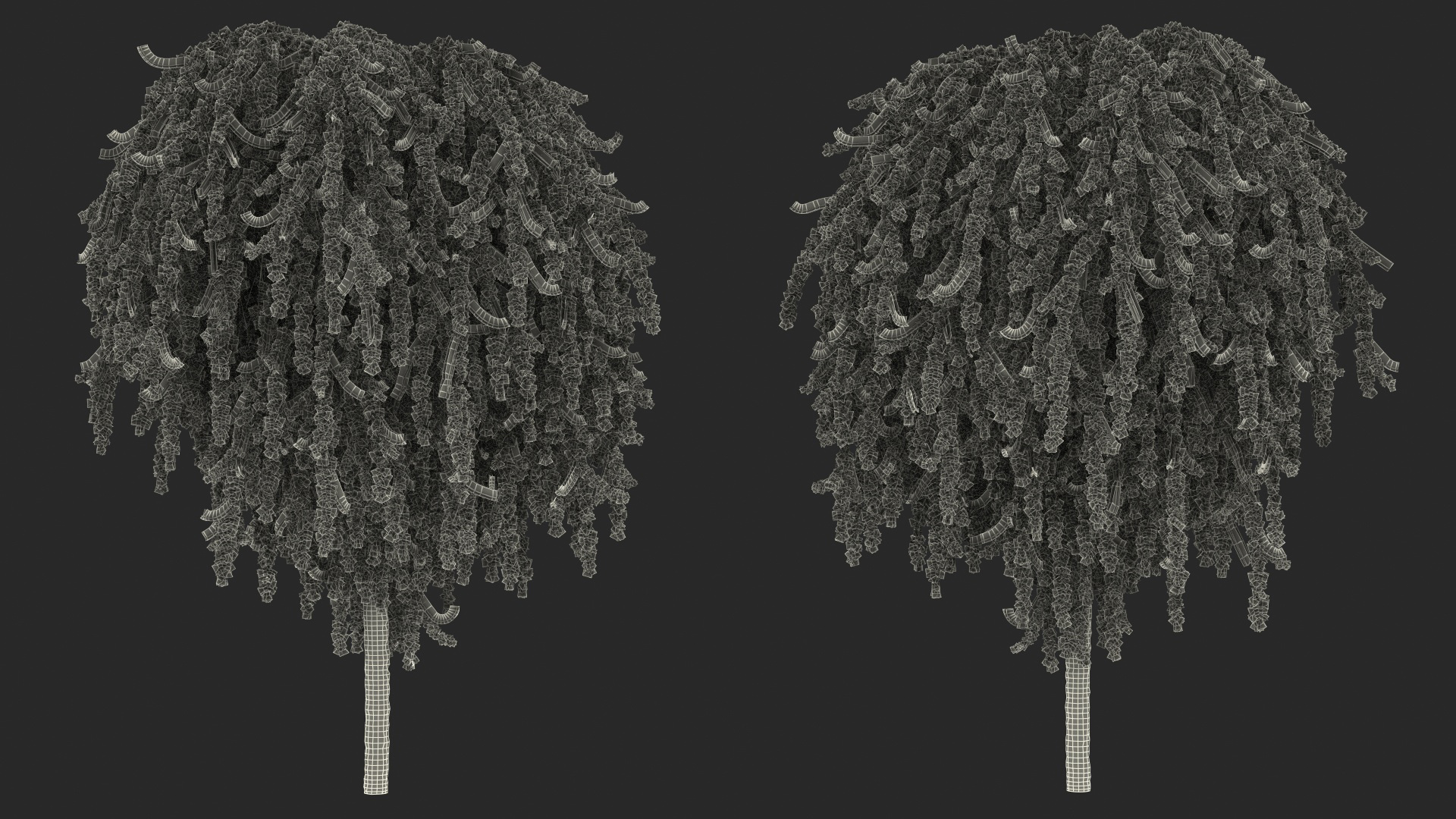 3D Weeping Larix Kaempferi model