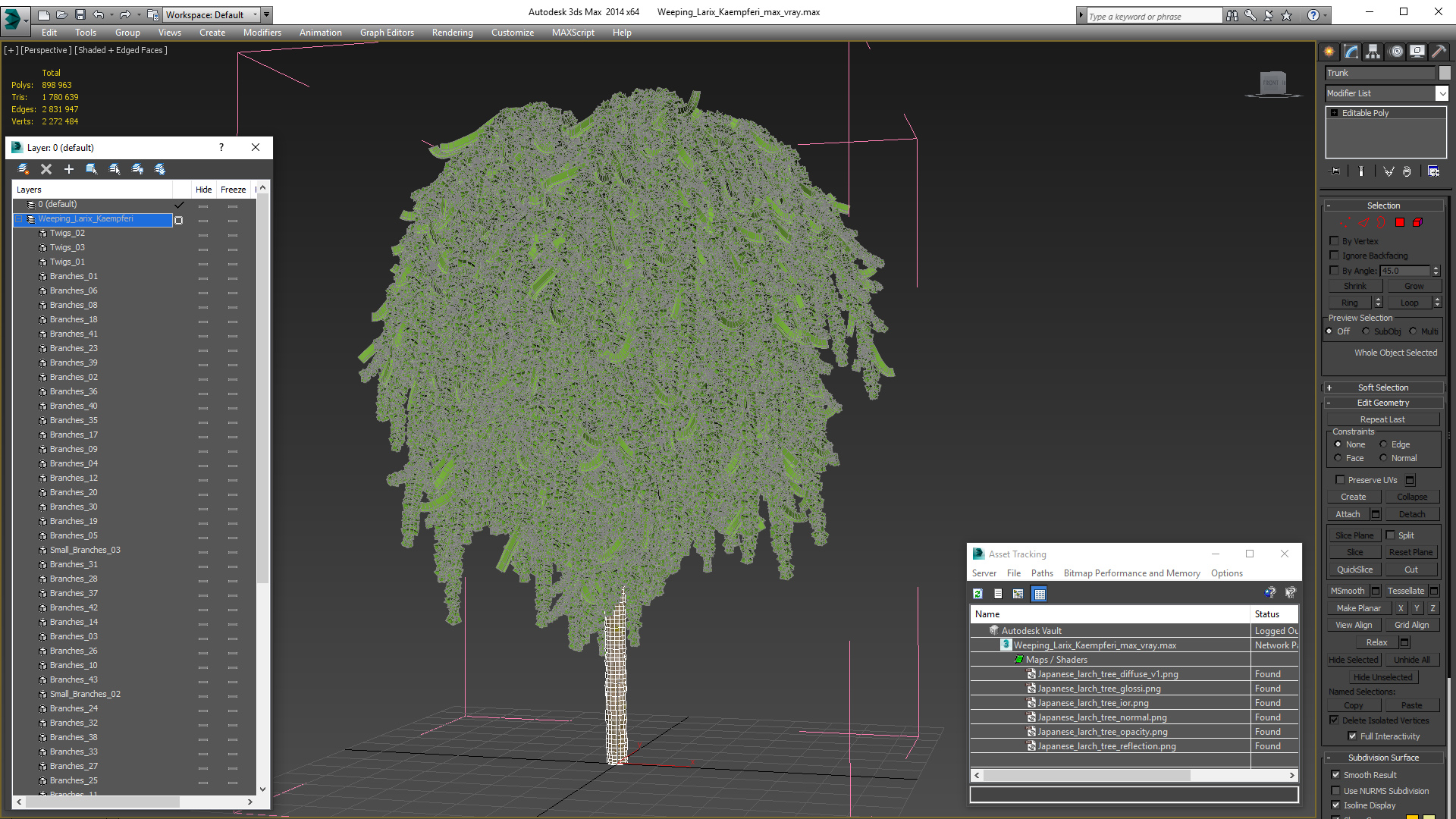 3D Weeping Larix Kaempferi model