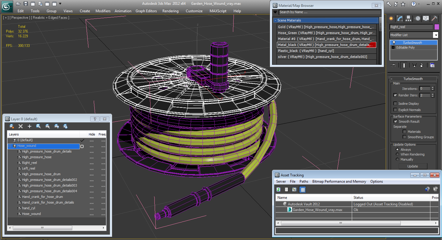 Garden Hose Wound 3D