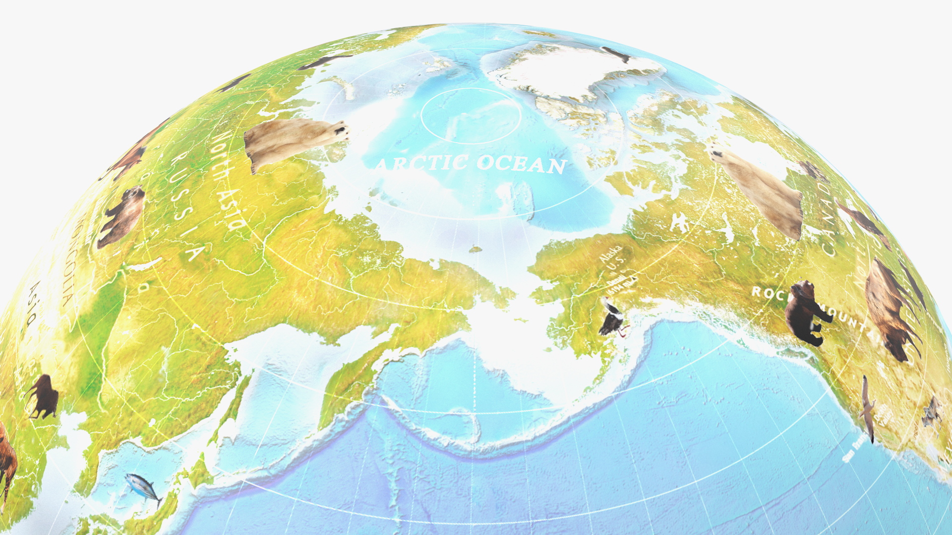 Animals World Globe 3D model