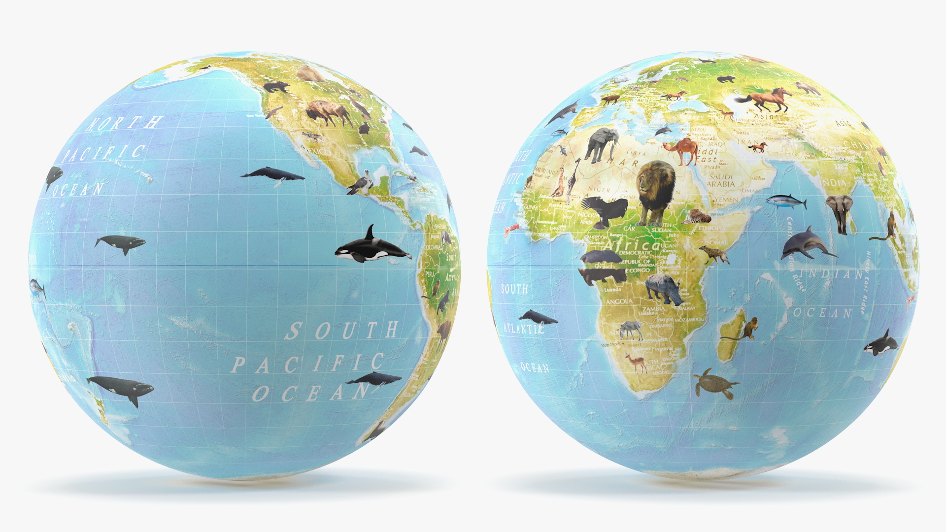 Animals World Globe 3D model