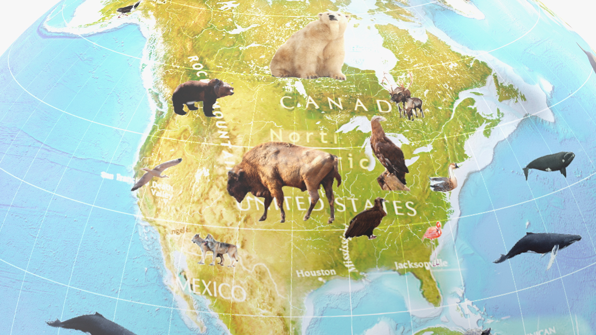 Animals World Globe 3D model