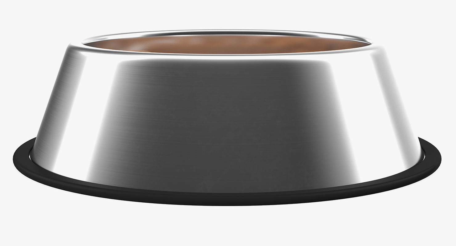 Dog Bowl Stainless Steel Food Container 3D model