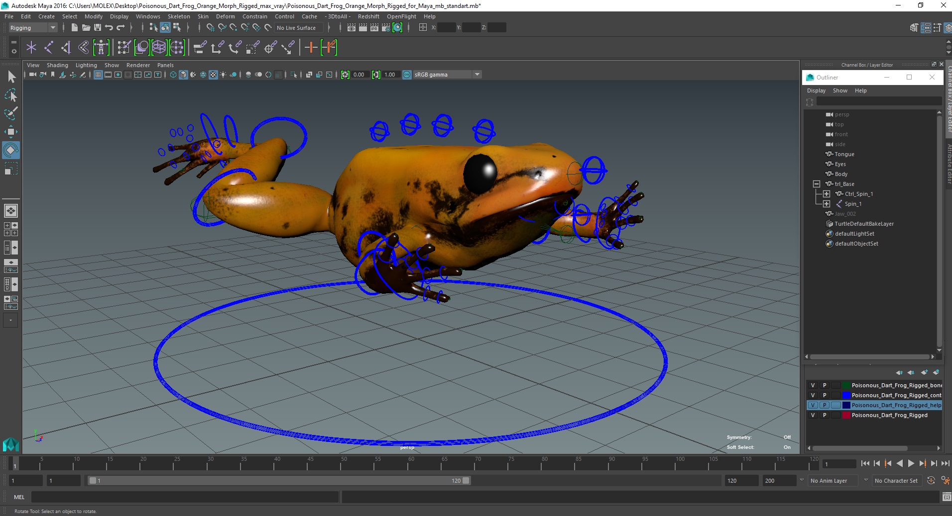 3D Poisonous Dart Frog Orange Morph Rigged for Maya model
