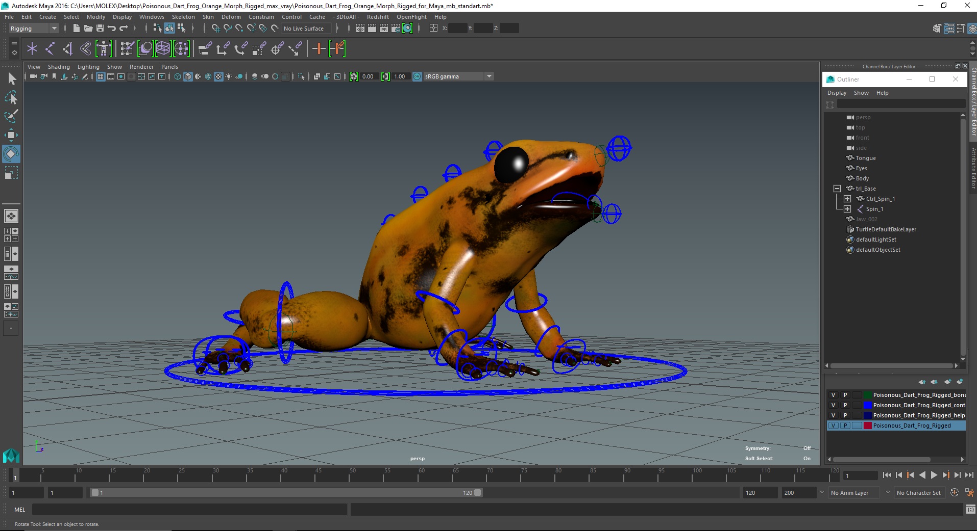3D Poisonous Dart Frog Orange Morph Rigged for Maya model