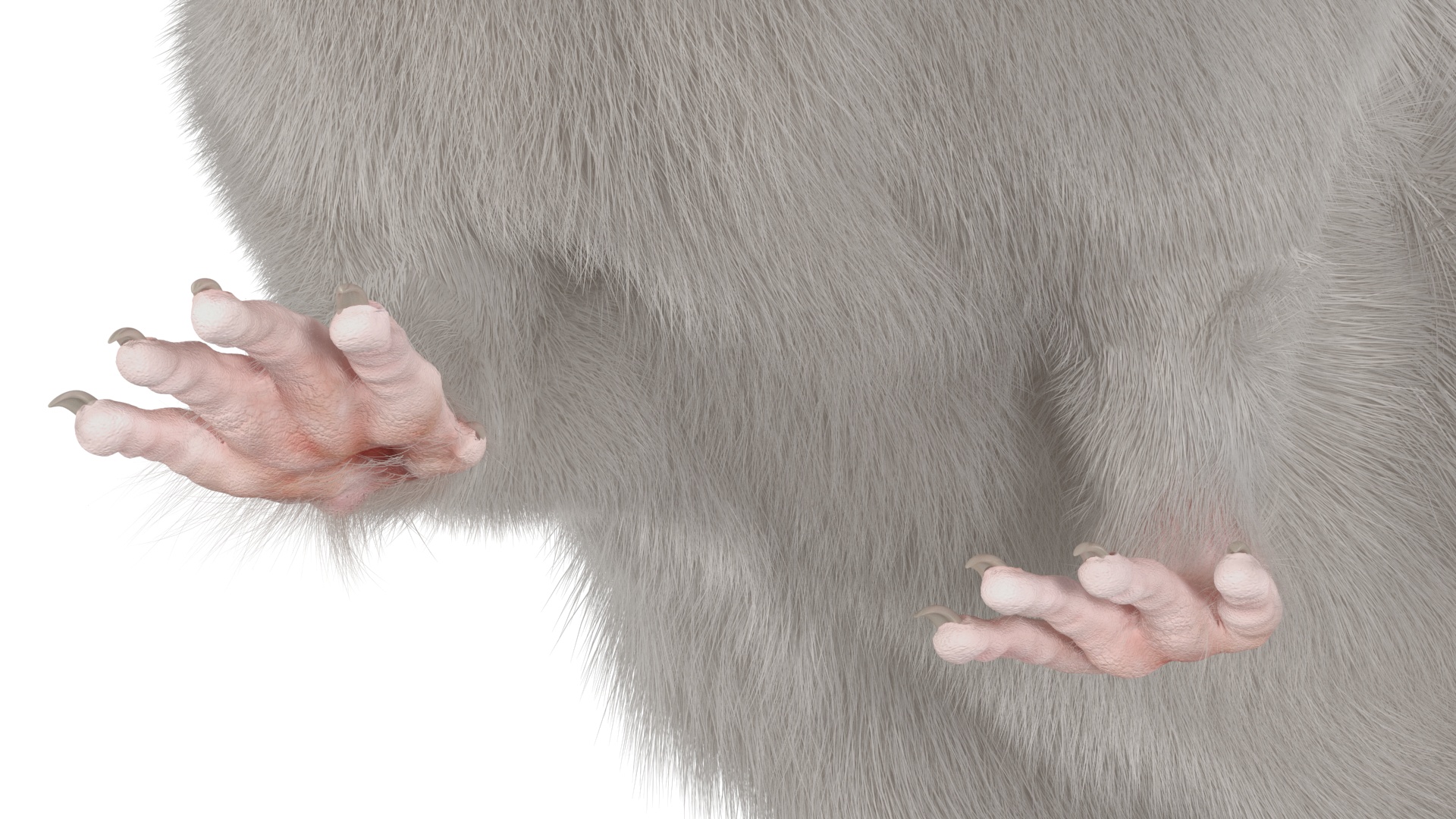 3D model Realistic White Rat with Fur Rigged