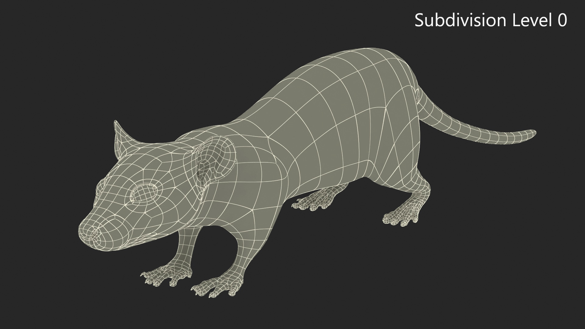3D model Realistic White Rat with Fur Rigged