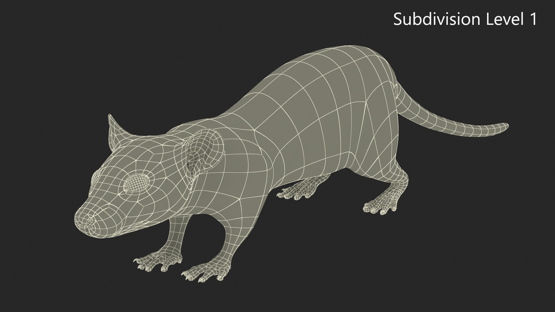 3D model Realistic White Rat with Fur Rigged