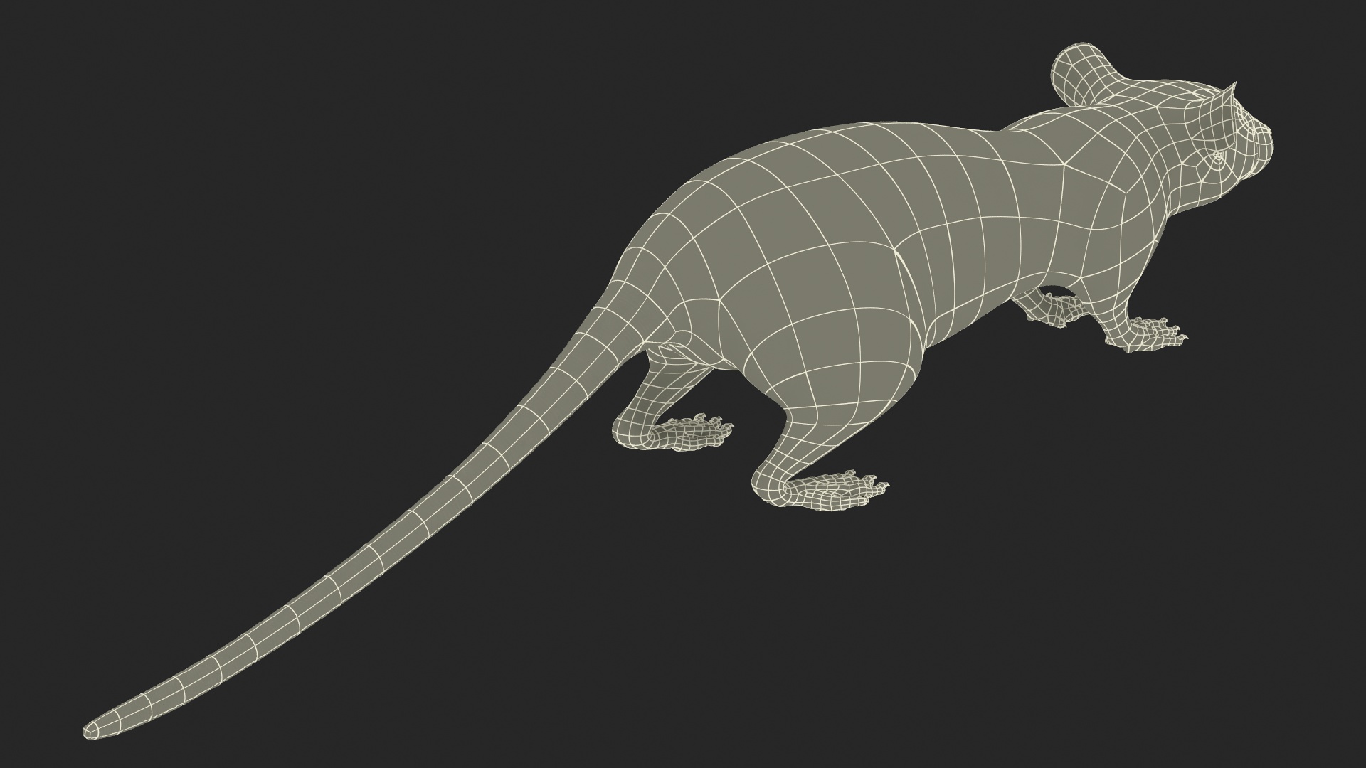 3D model Realistic White Rat with Fur Rigged