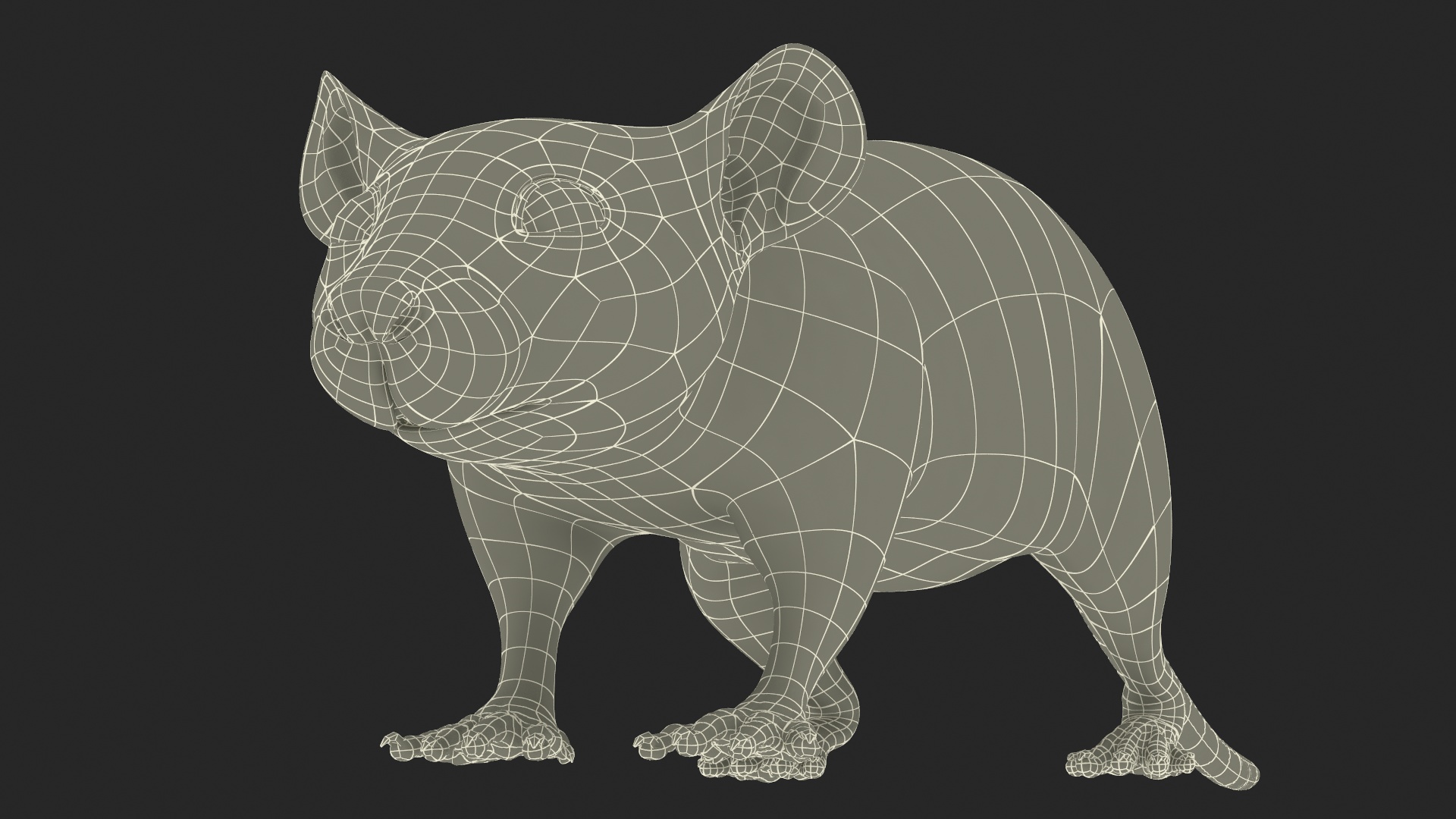3D model Realistic White Rat with Fur Rigged