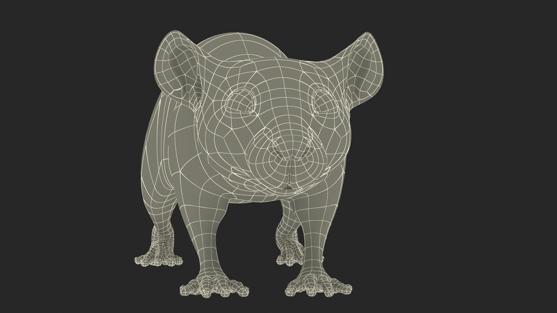 3D model Realistic White Rat with Fur Rigged