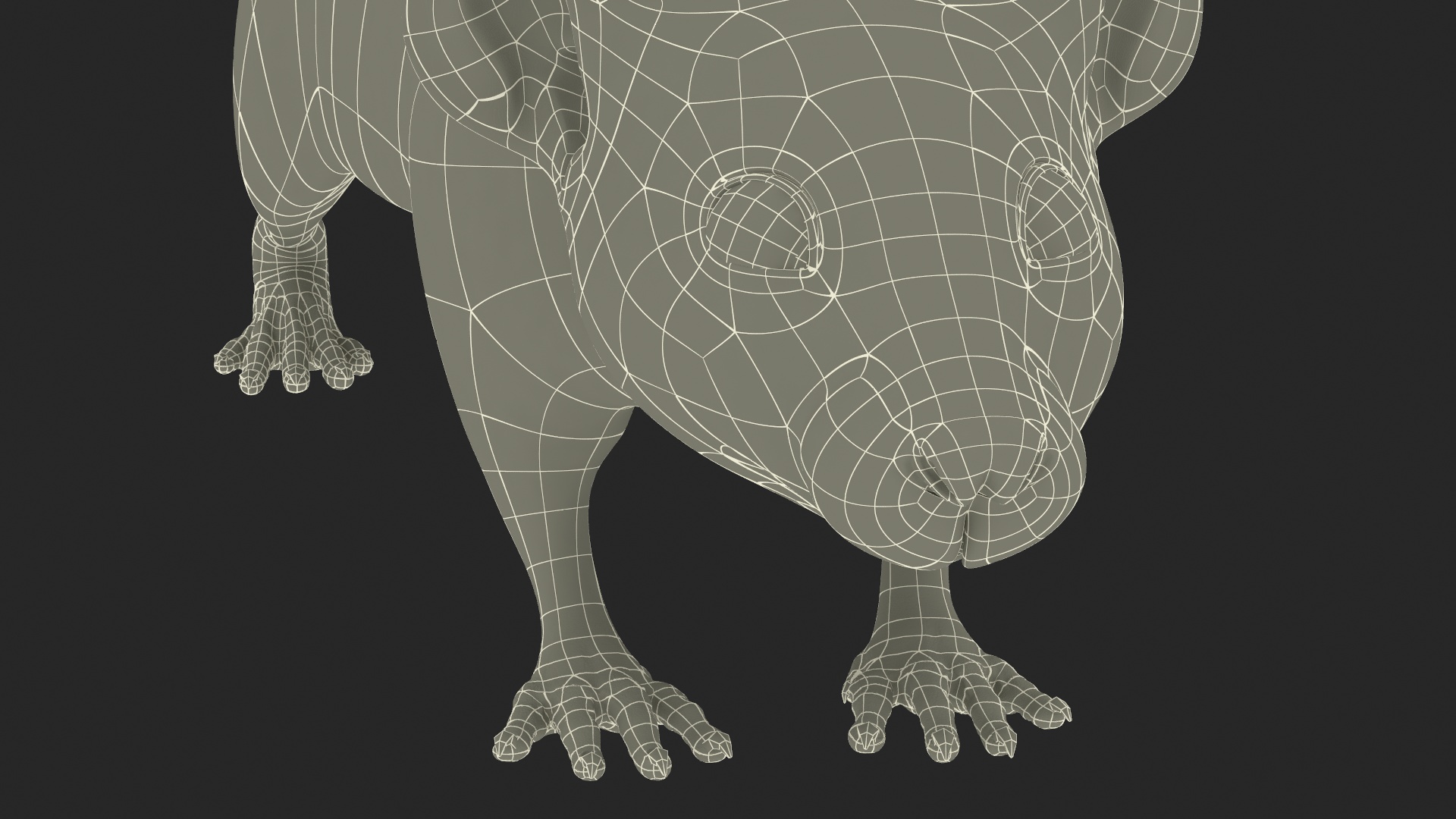 3D model Realistic White Rat with Fur Rigged