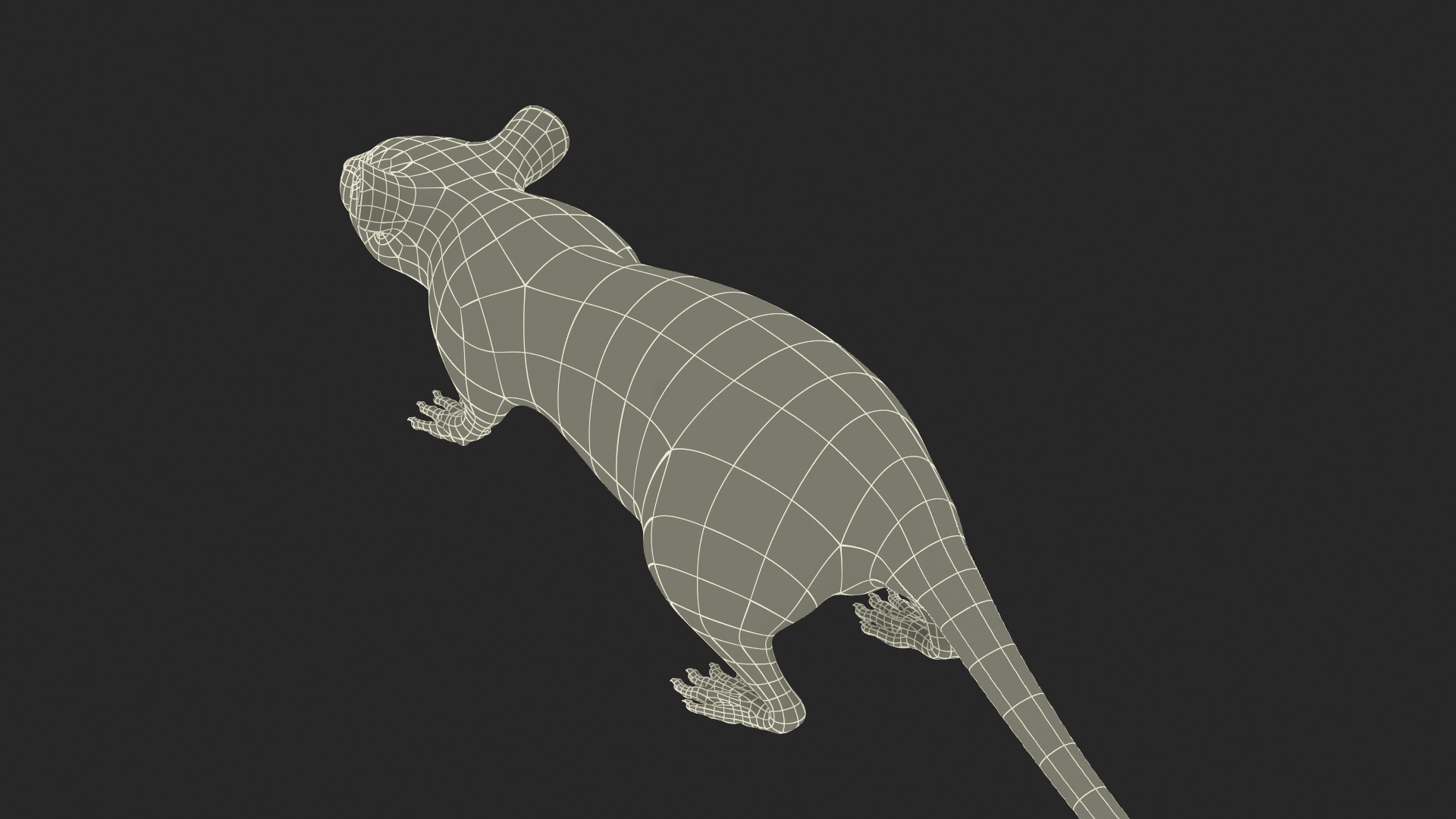 3D model Realistic White Rat with Fur Rigged