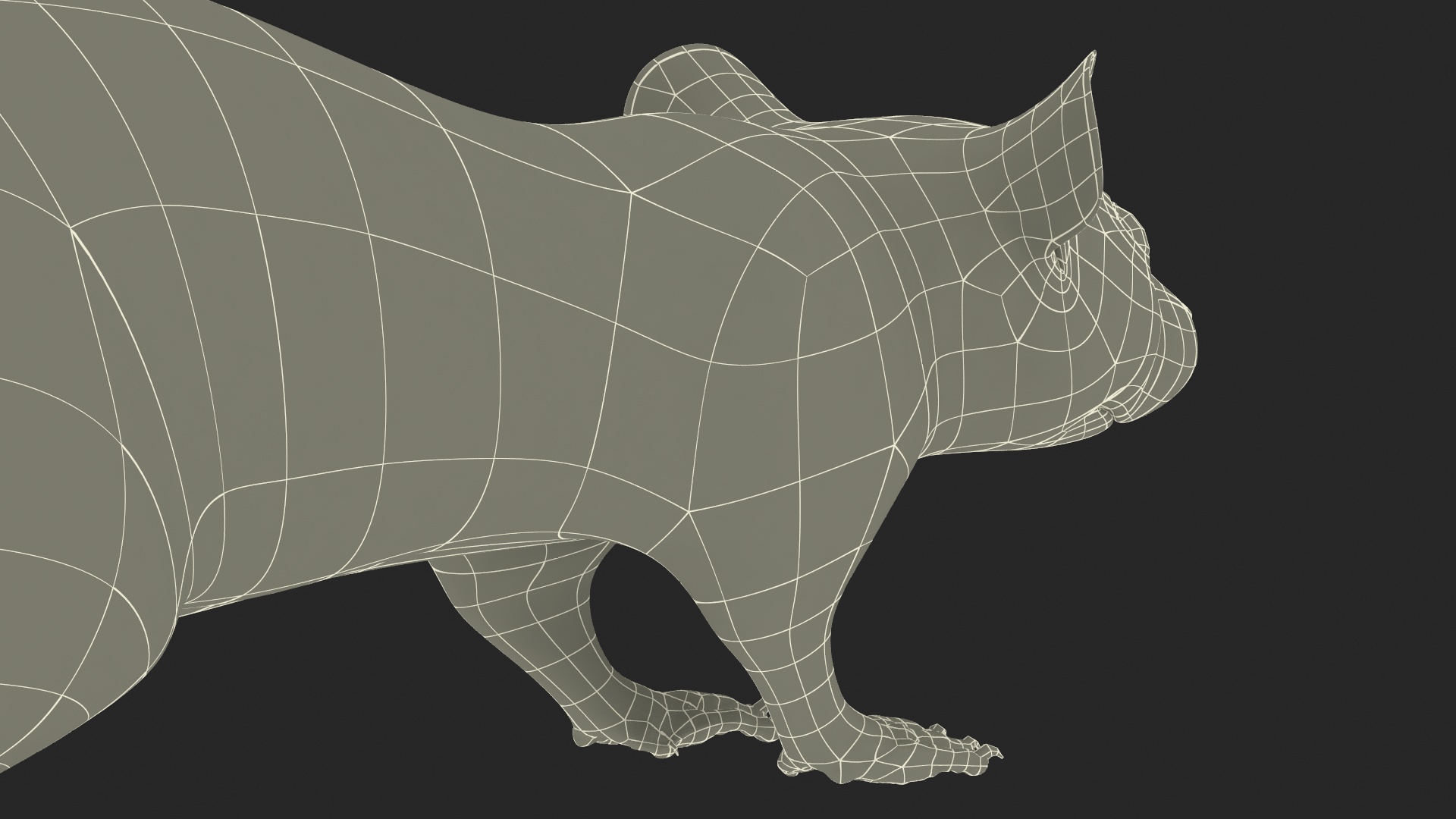 3D model Realistic White Rat with Fur Rigged