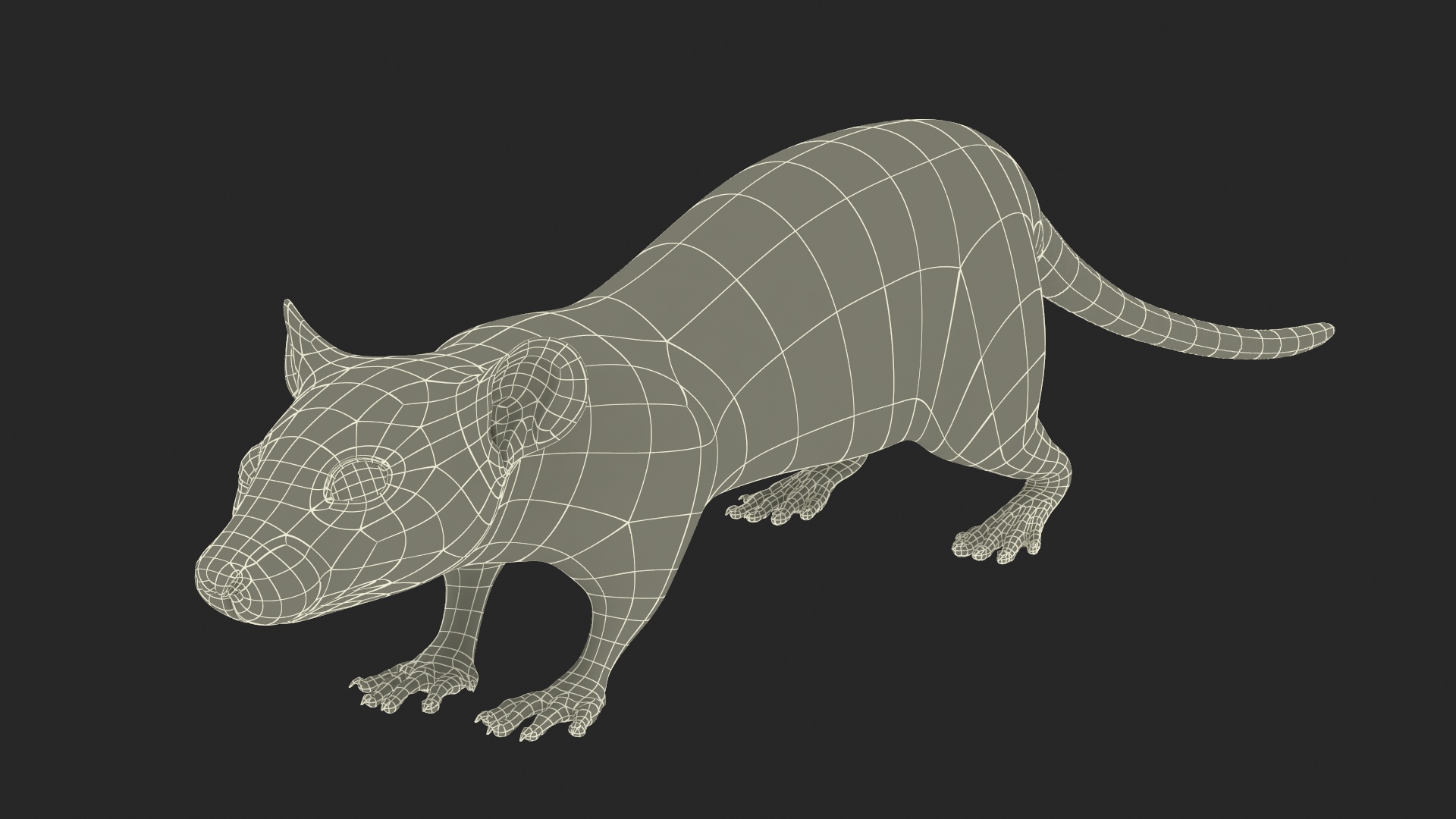 3D model Realistic White Rat with Fur Rigged