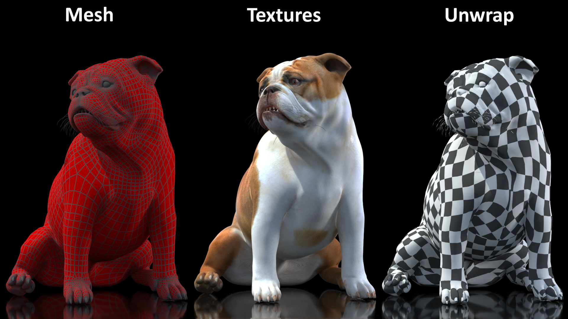 3D Bulldog Sitting Up model
