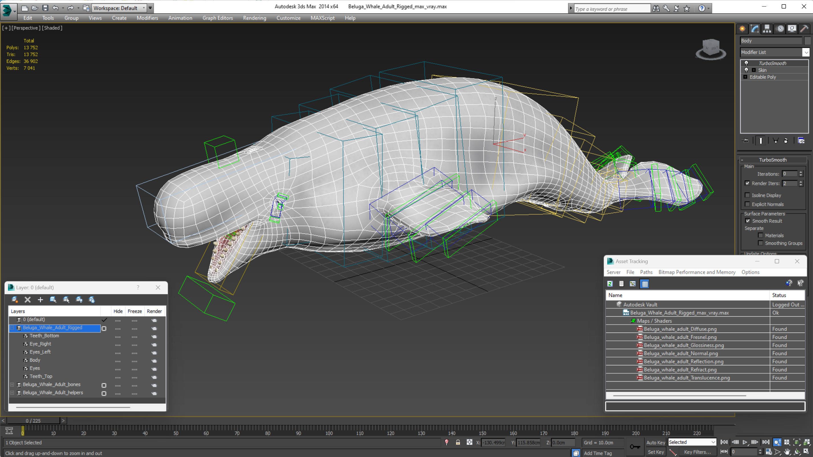 3D model Beluga Whale Adult Rigged