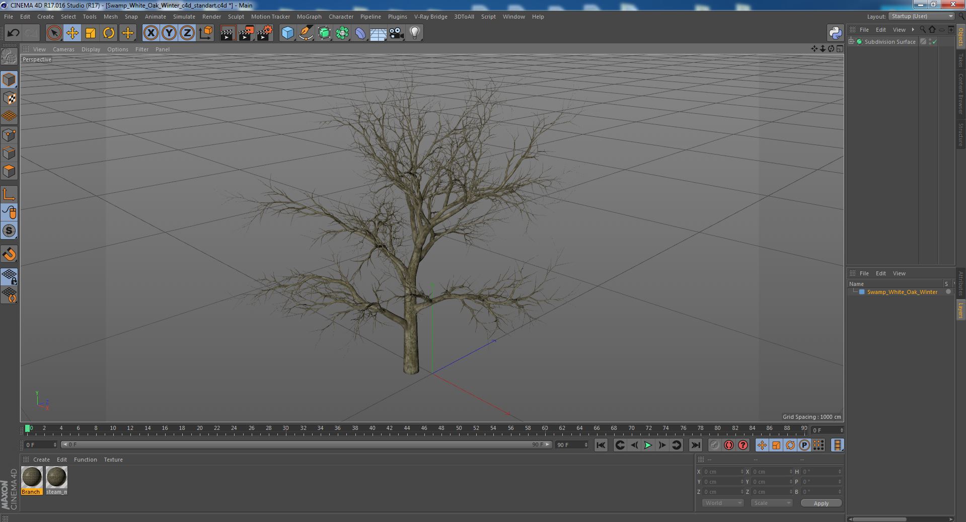 Swamp White Oak Winter 3D