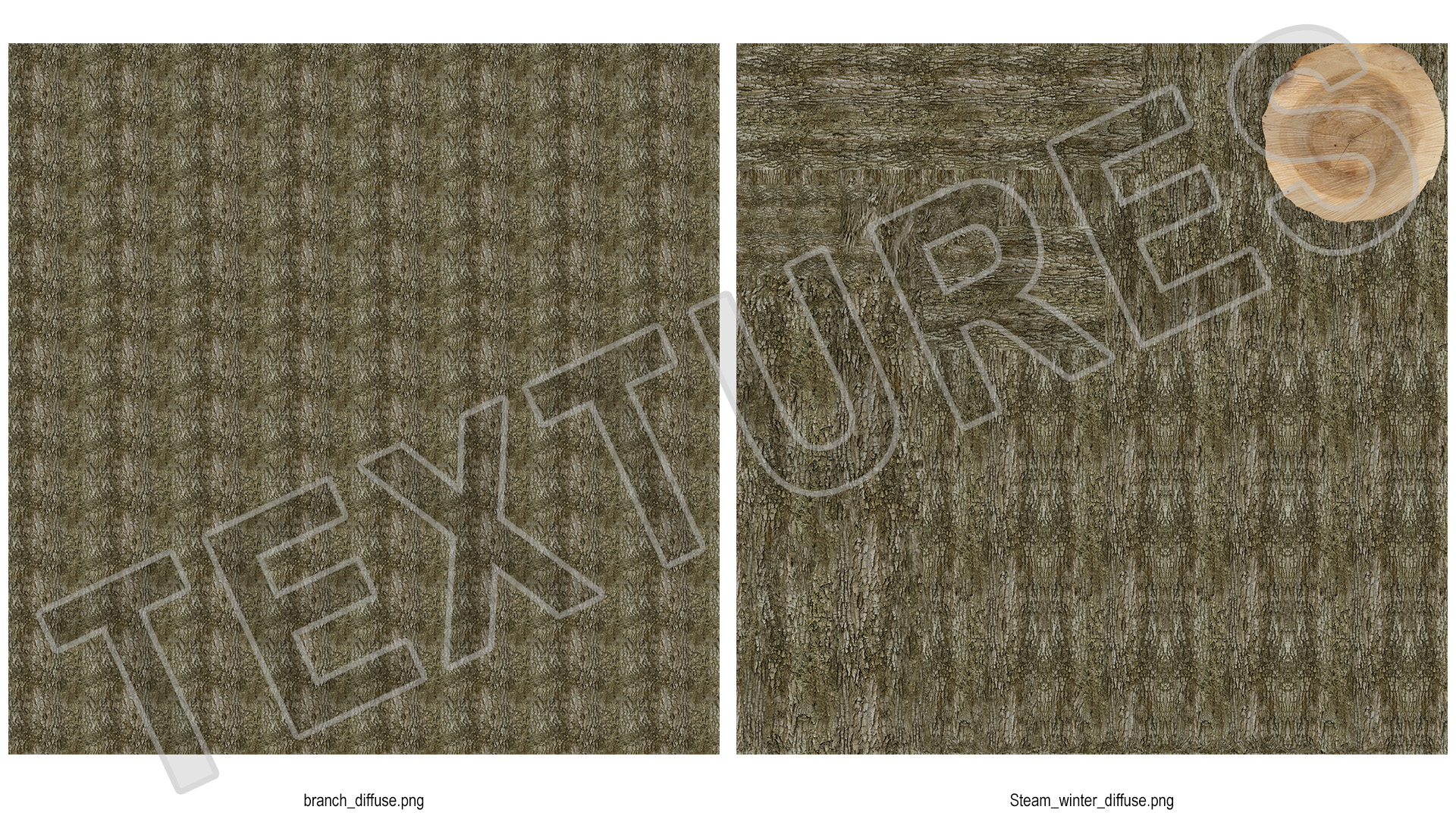 Swamp White Oak Winter 3D