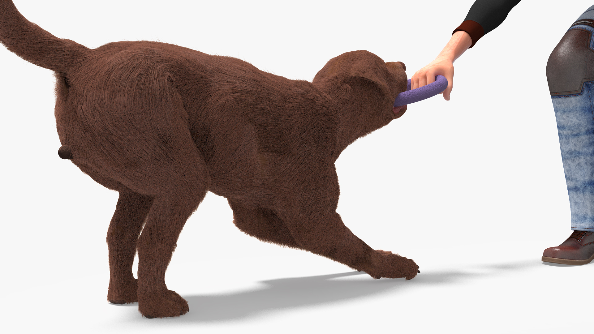 3D model Dog Owner Playing with Labrador Fur