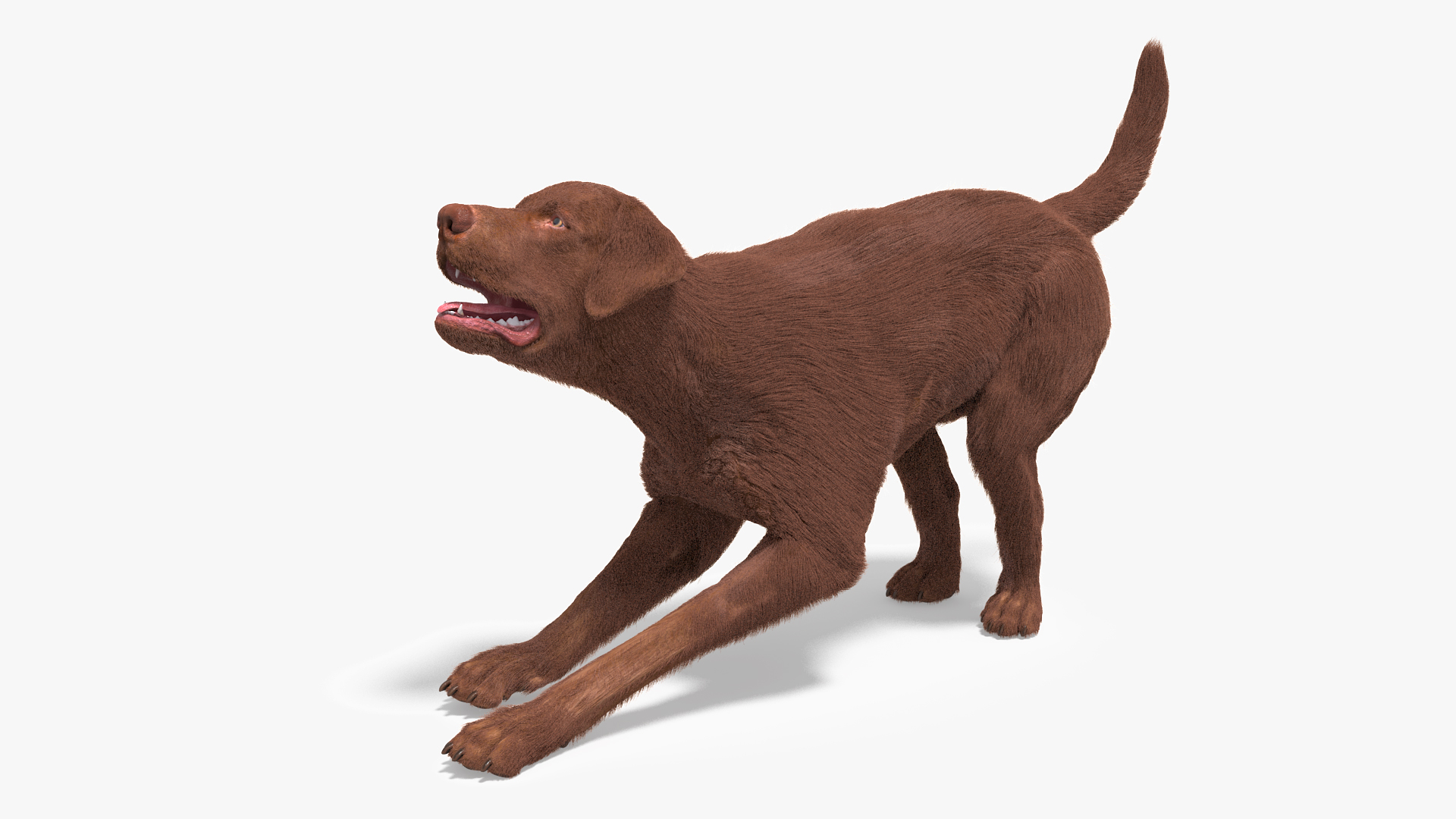 3D model Dog Owner Playing with Labrador Fur