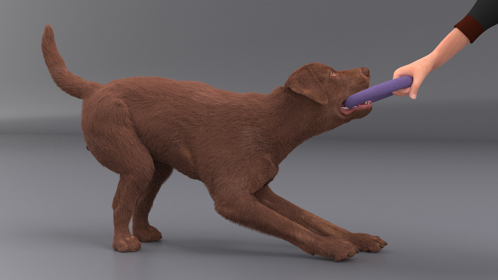 3D model Dog Owner Playing with Labrador Fur