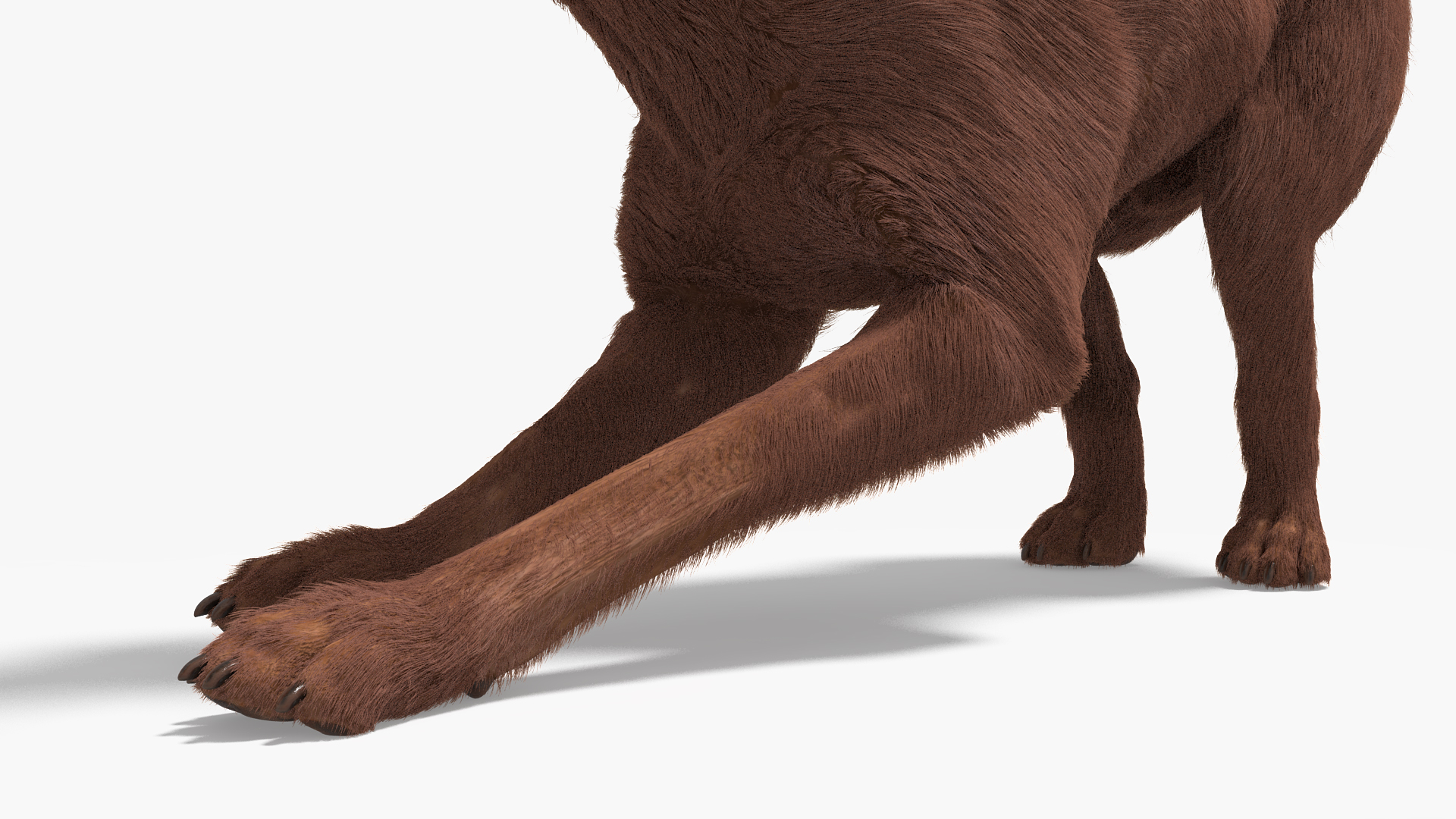 3D model Dog Owner Playing with Labrador Fur