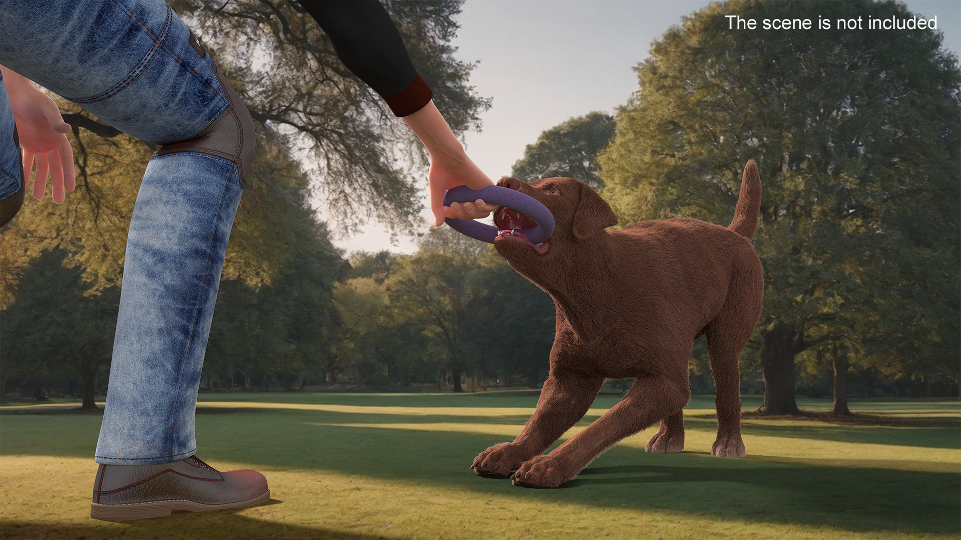 3D model Dog Owner Playing with Labrador Fur