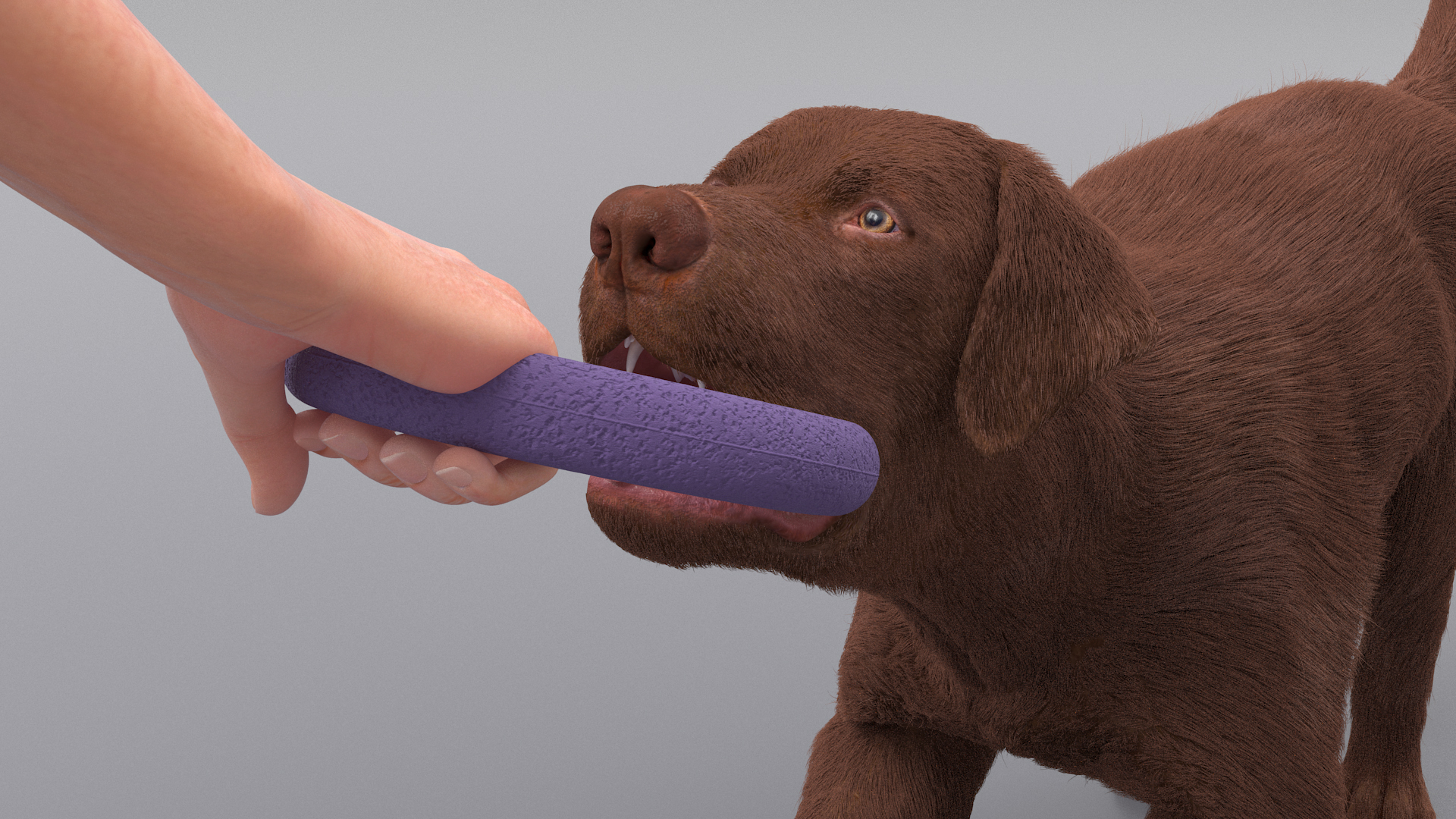 3D model Dog Owner Playing with Labrador Fur