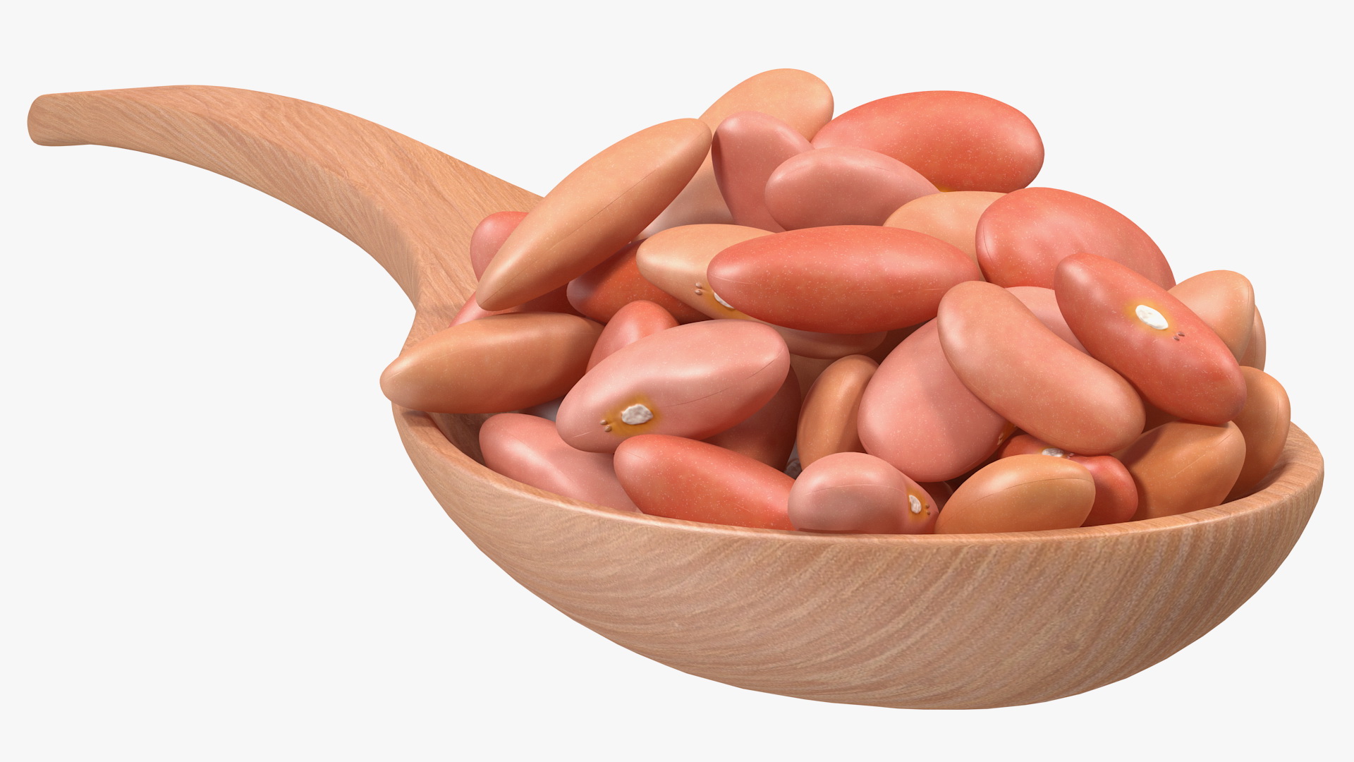 3D Light Red Kidney Beans in a Spoon model