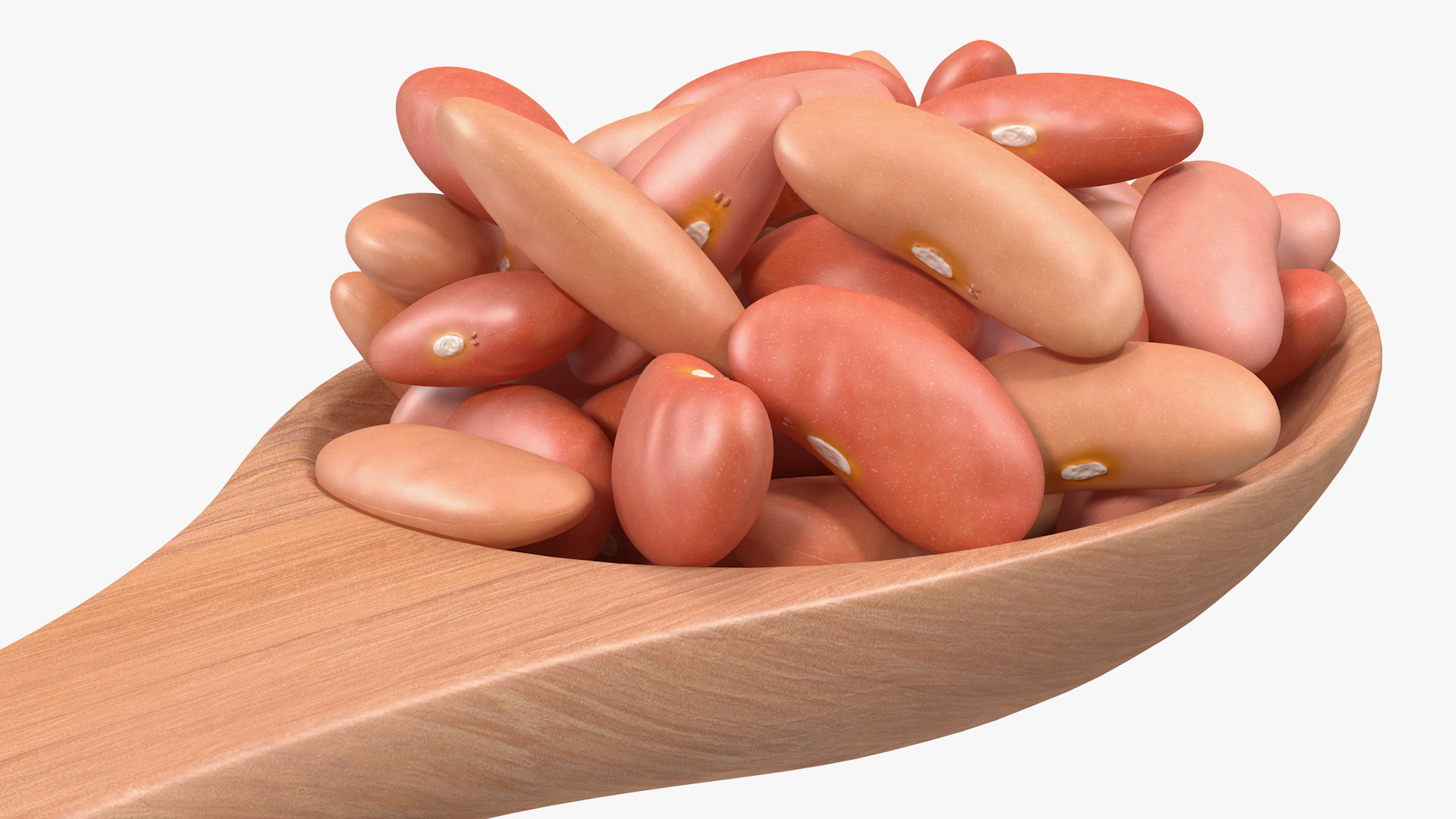 3D Light Red Kidney Beans in a Spoon model