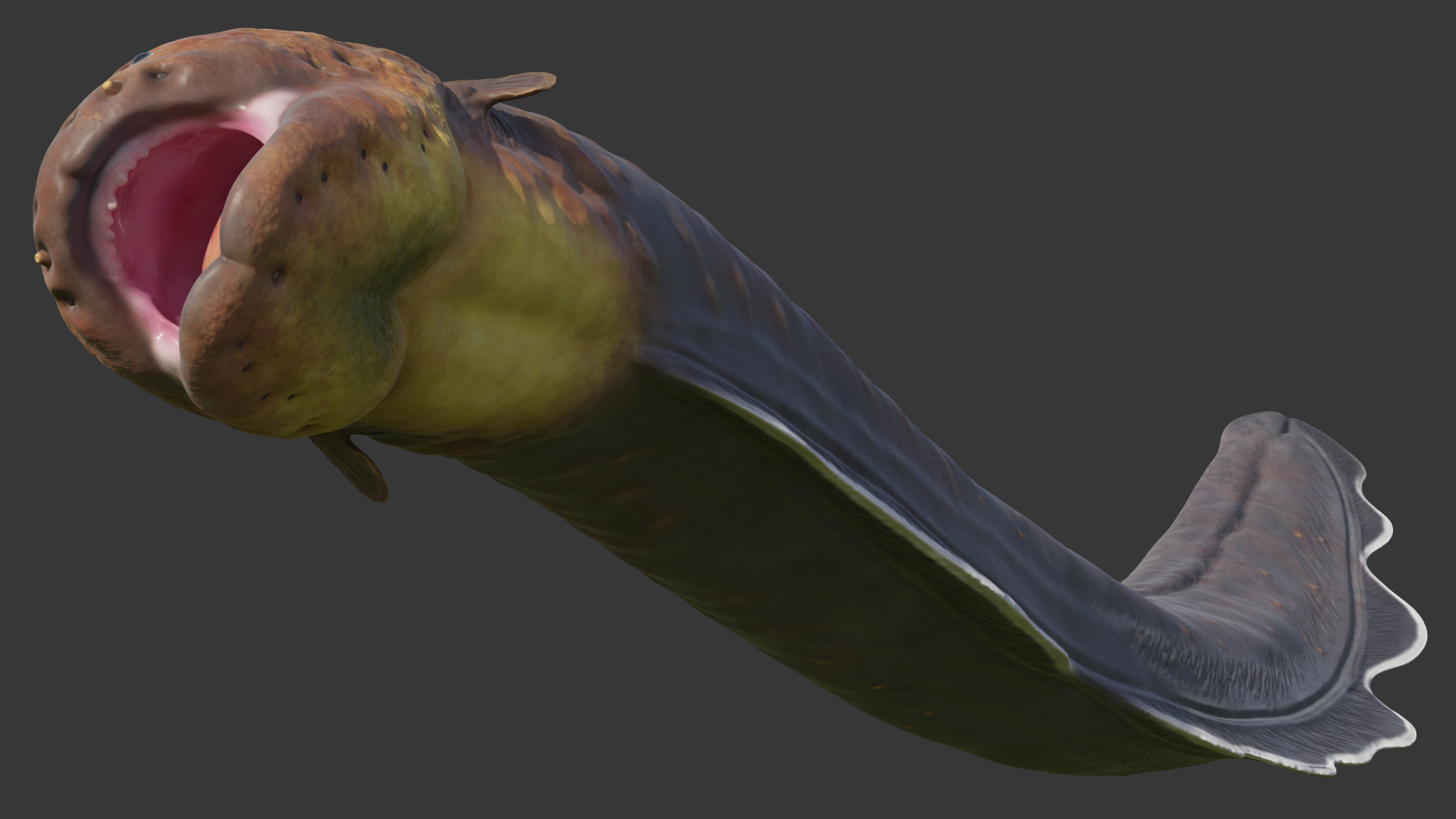 Electric Eel Rigged 3D model