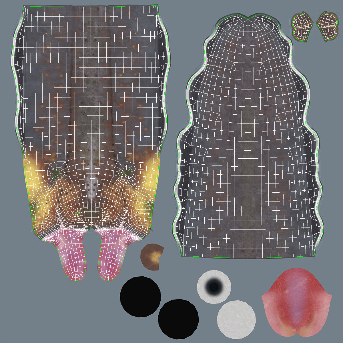 Electric Eel Rigged 3D model