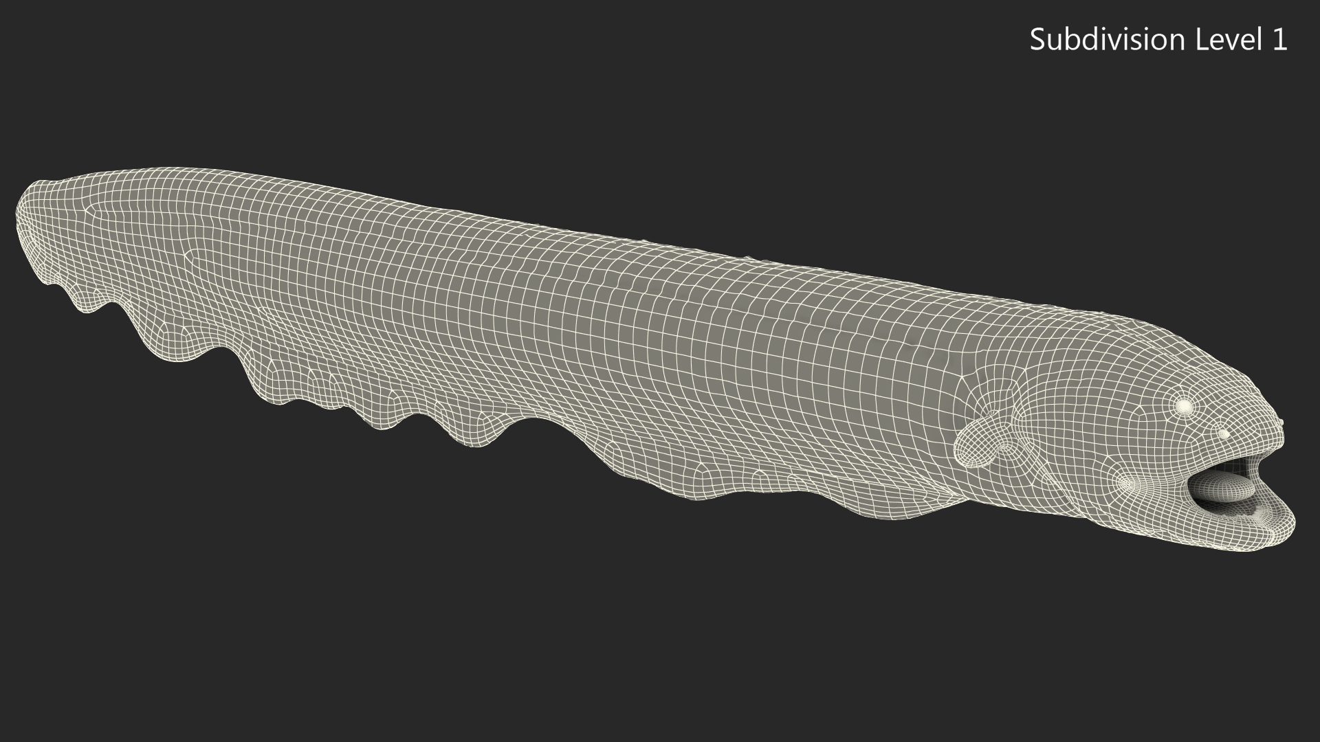 Electric Eel Rigged 3D model