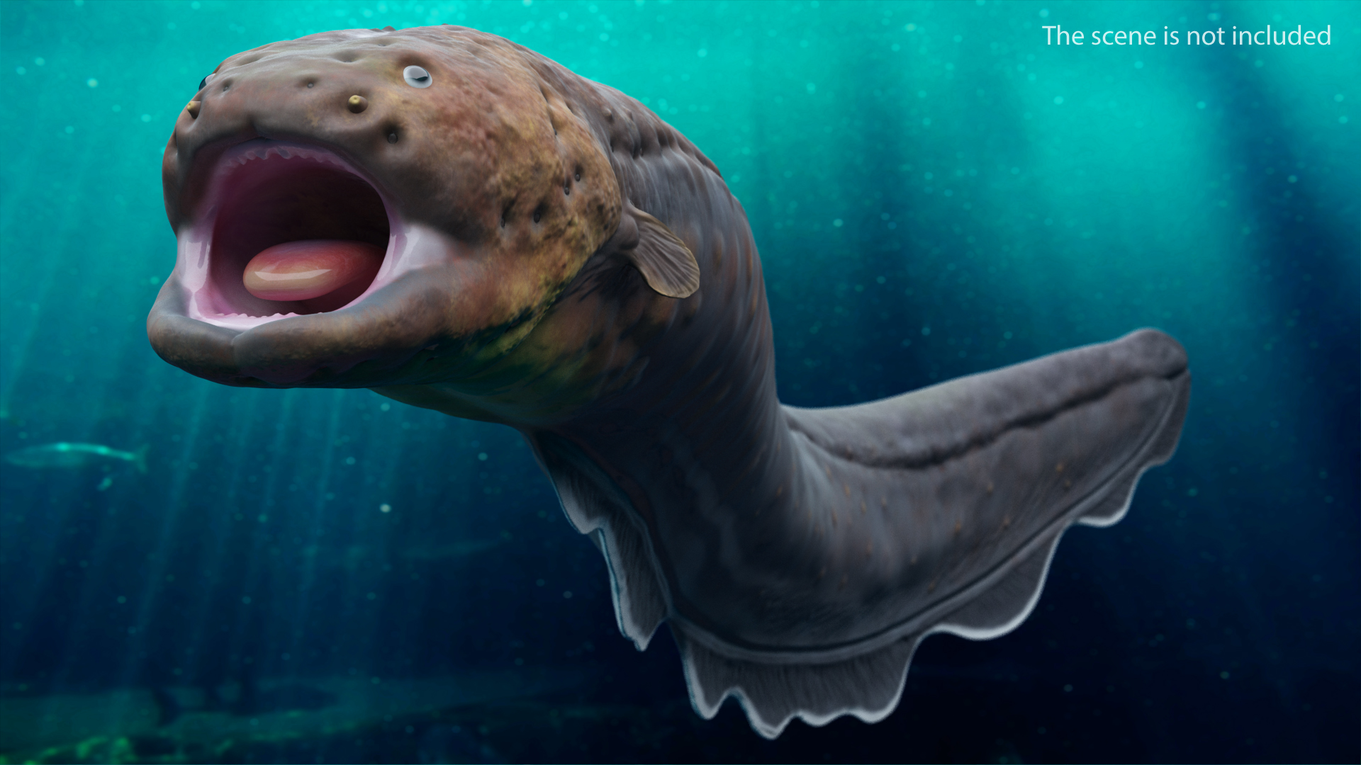 Electric Eel Rigged 3D model