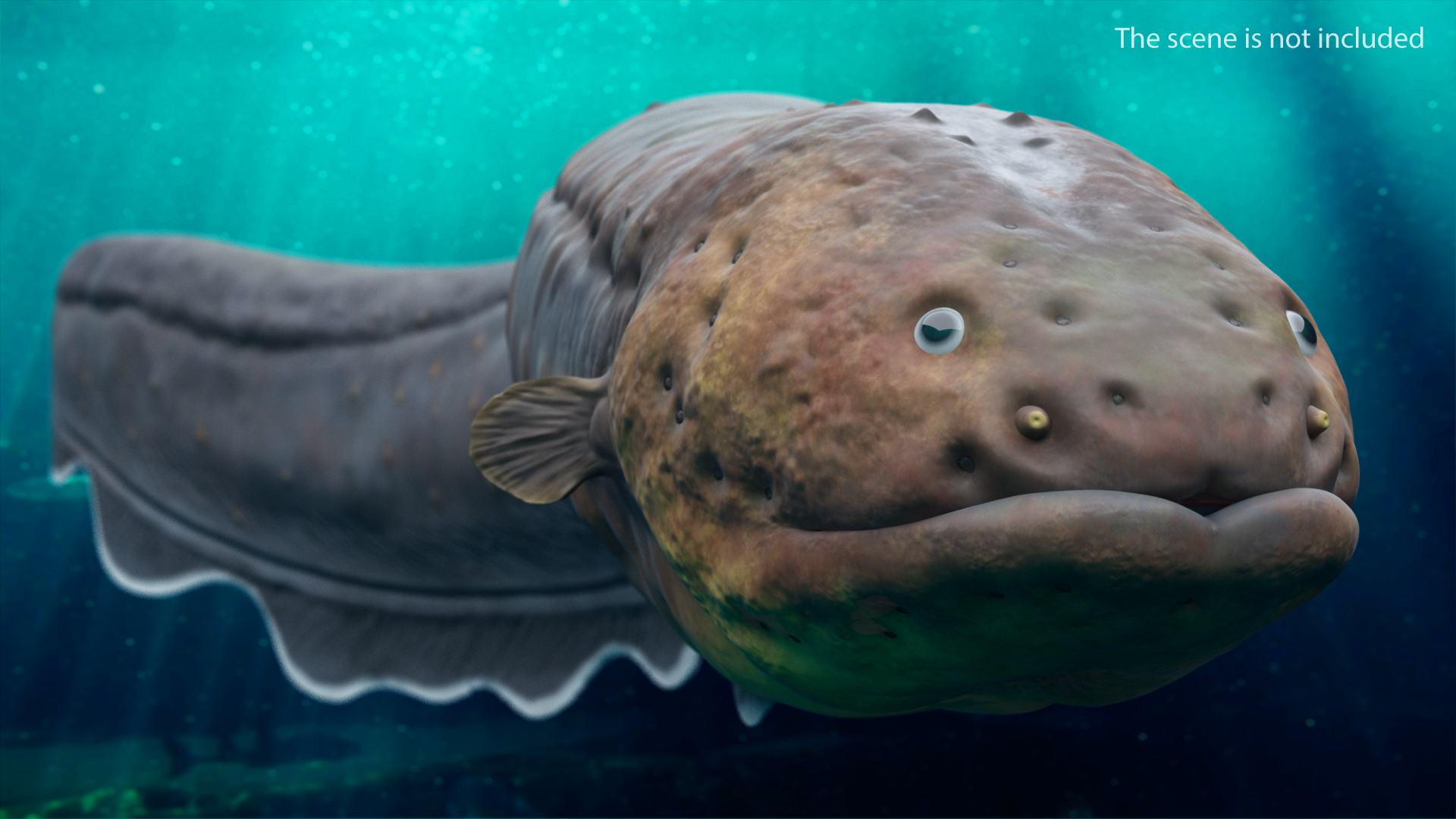 Electric Eel Rigged 3D model