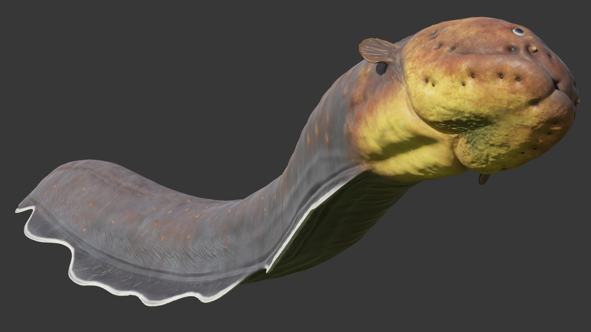 Electric Eel Rigged 3D model