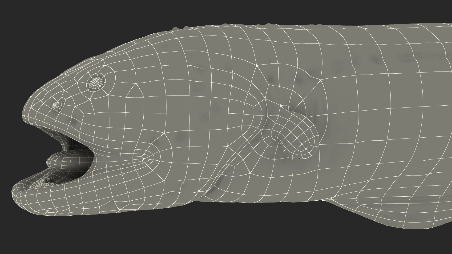 Electric Eel Rigged 3D model