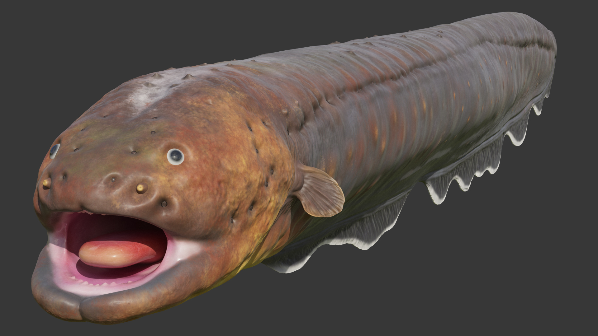 Electric Eel Rigged 3D model
