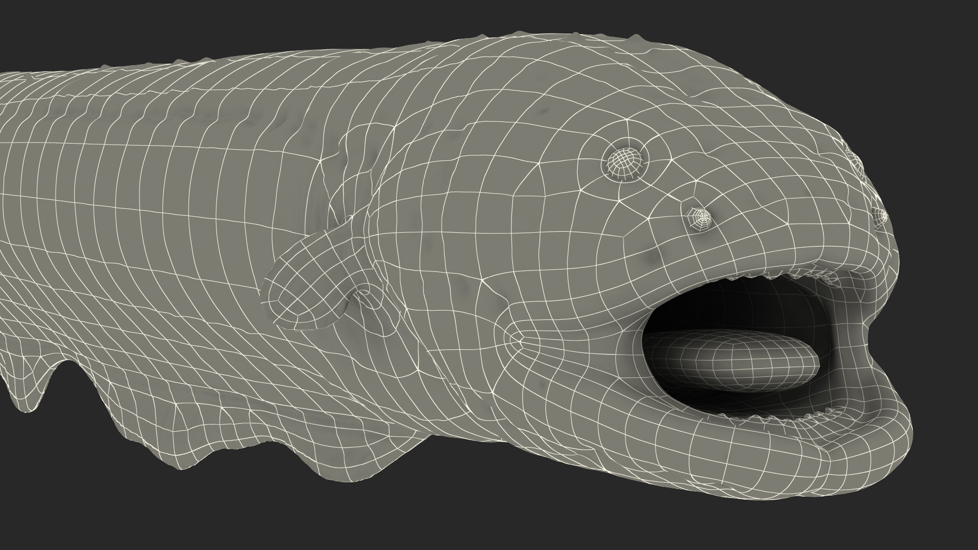 Electric Eel Rigged 3D model