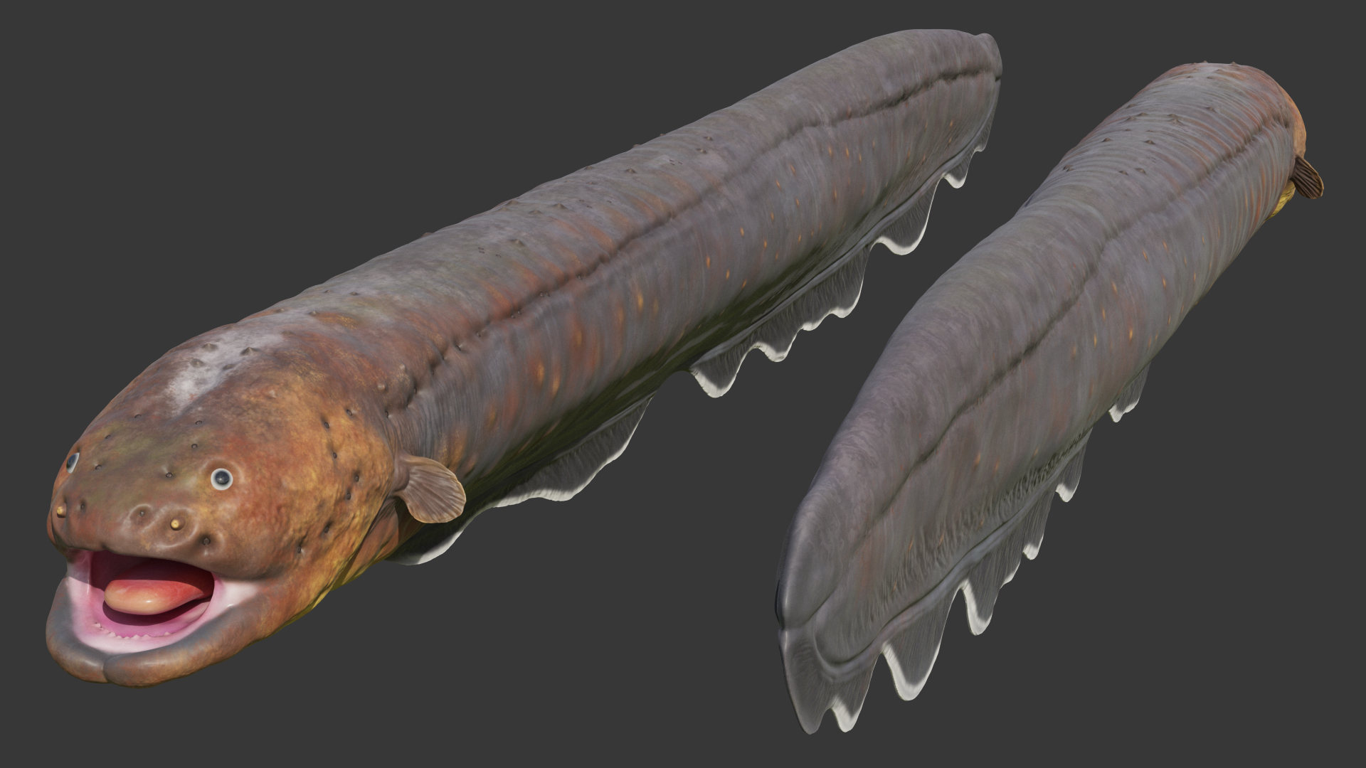 Electric Eel Rigged 3D model