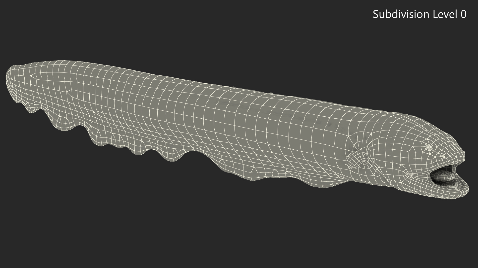 Electric Eel Rigged 3D model