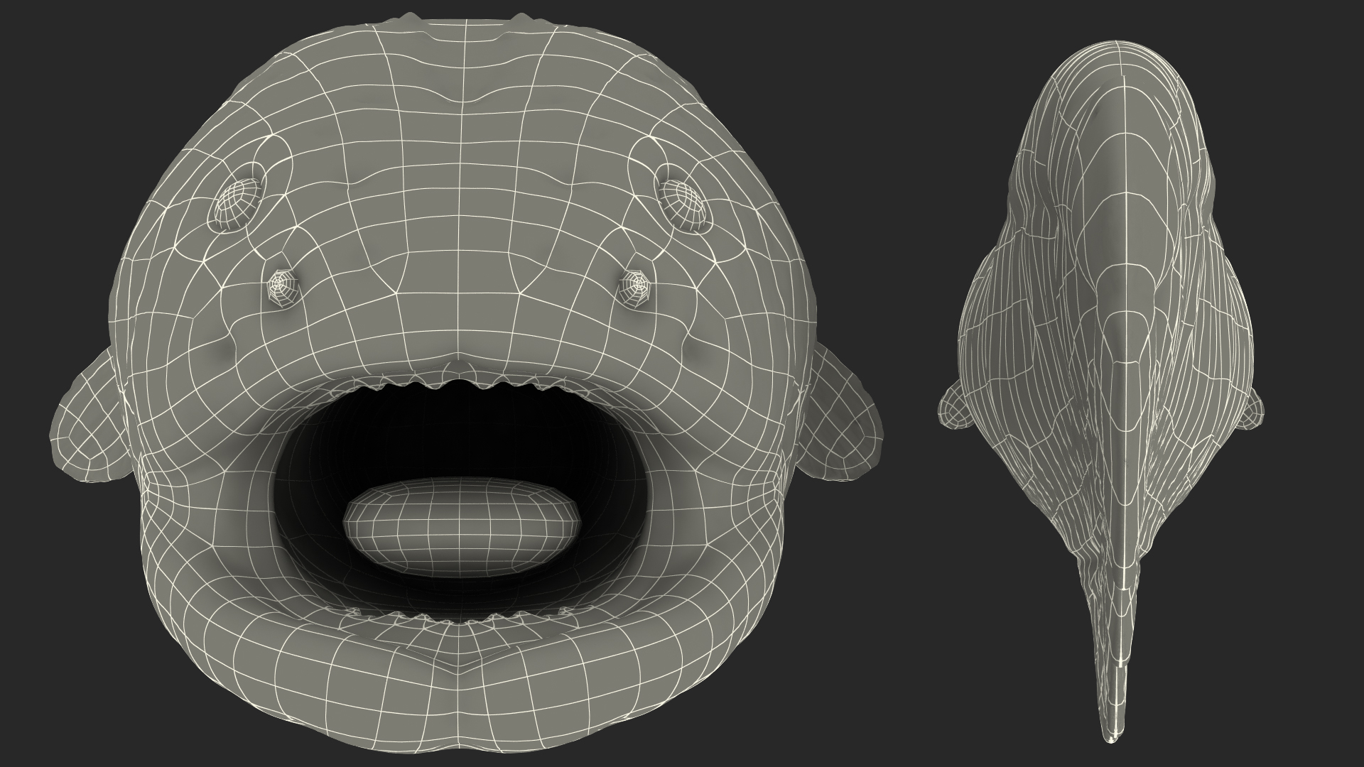 Electric Eel Rigged 3D model