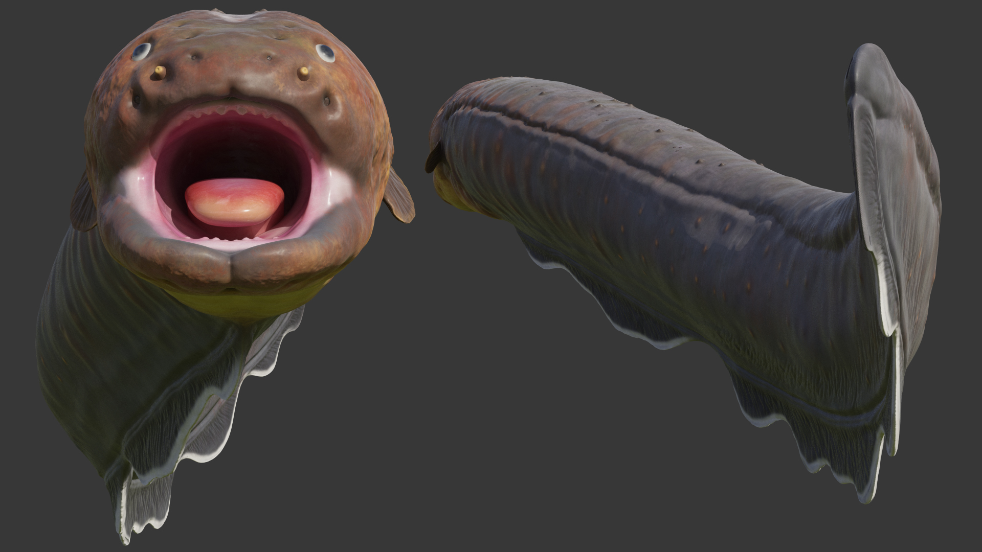 Electric Eel Rigged 3D model