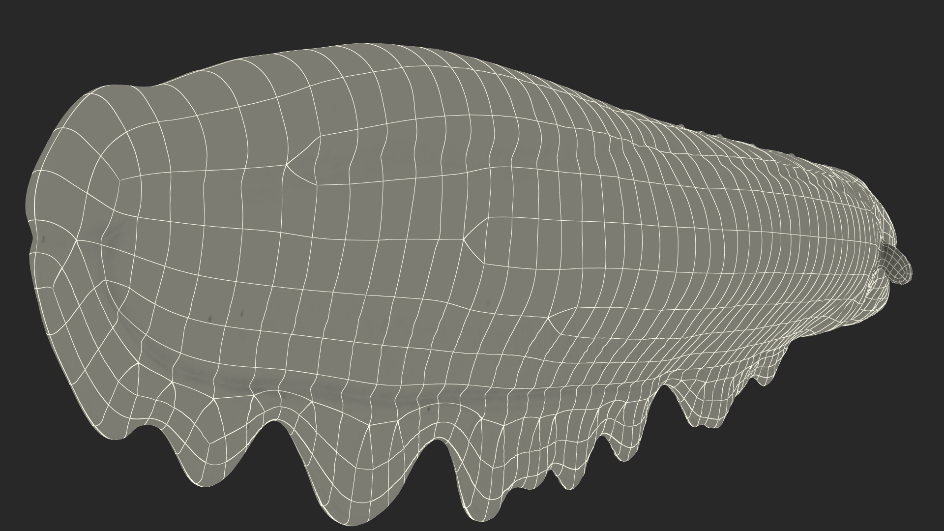 Electric Eel Rigged 3D model
