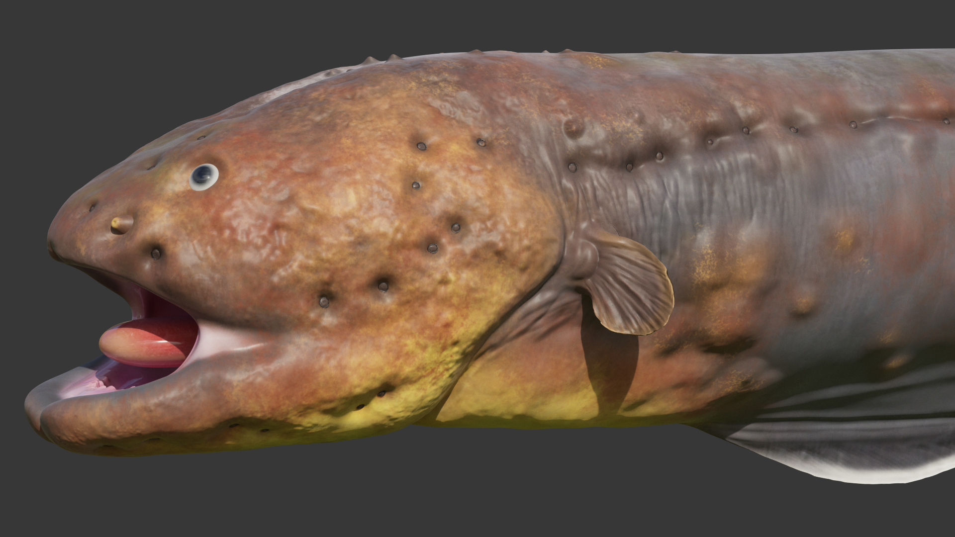 Electric Eel Rigged 3D model