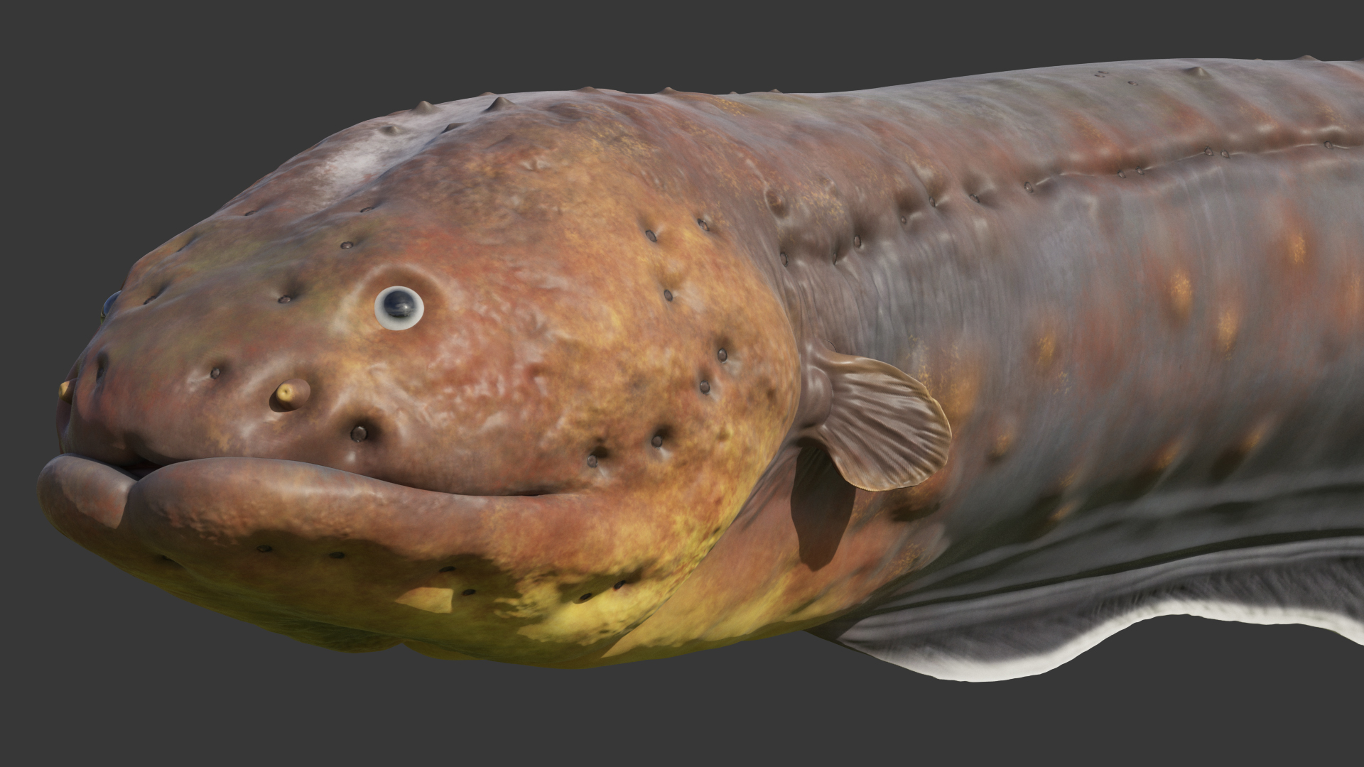Electric Eel Rigged 3D model